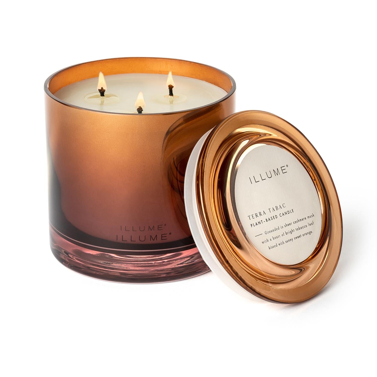 Terra Tabac Statement Glas Kerze, Braun, in Braun präsentiert im Onlineshop von KAQTU Design AG. Duftkerze ist von Illume