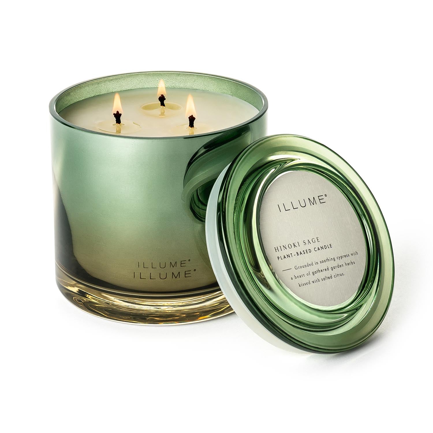 Hinoki Sage Statement Glas Kerze, Grün, in Grün präsentiert im Onlineshop von KAQTU Design AG. Duftkerze ist von Illume