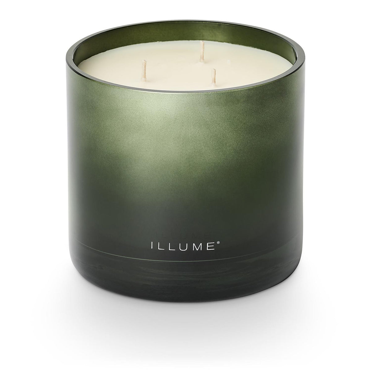 Balsam & Cedar Statement Glas Kerze, Grün, in Grün präsentiert im Onlineshop von KAQTU Design AG. Duftkerze ist von Illume
