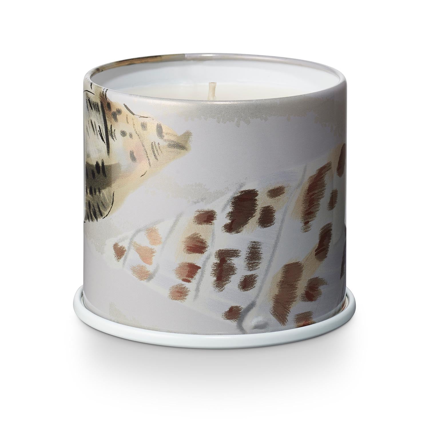 Driftwood Vanity Tin Duftkerze, Weiss, in Weiß präsentiert im Onlineshop von KAQTU Design AG. Duftkerze ist von Illume
