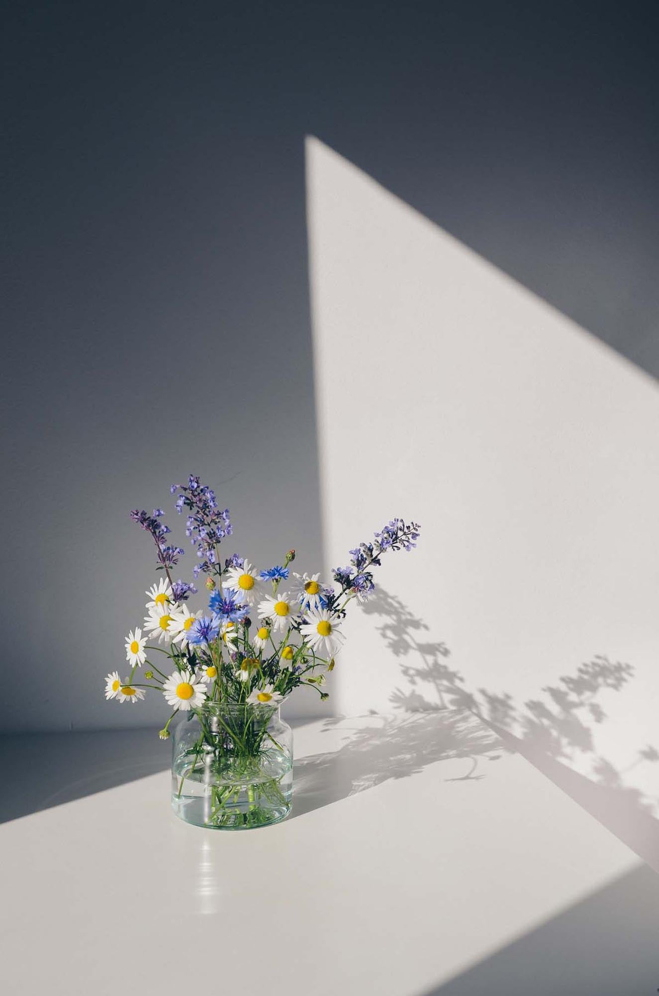 Blumen Poster