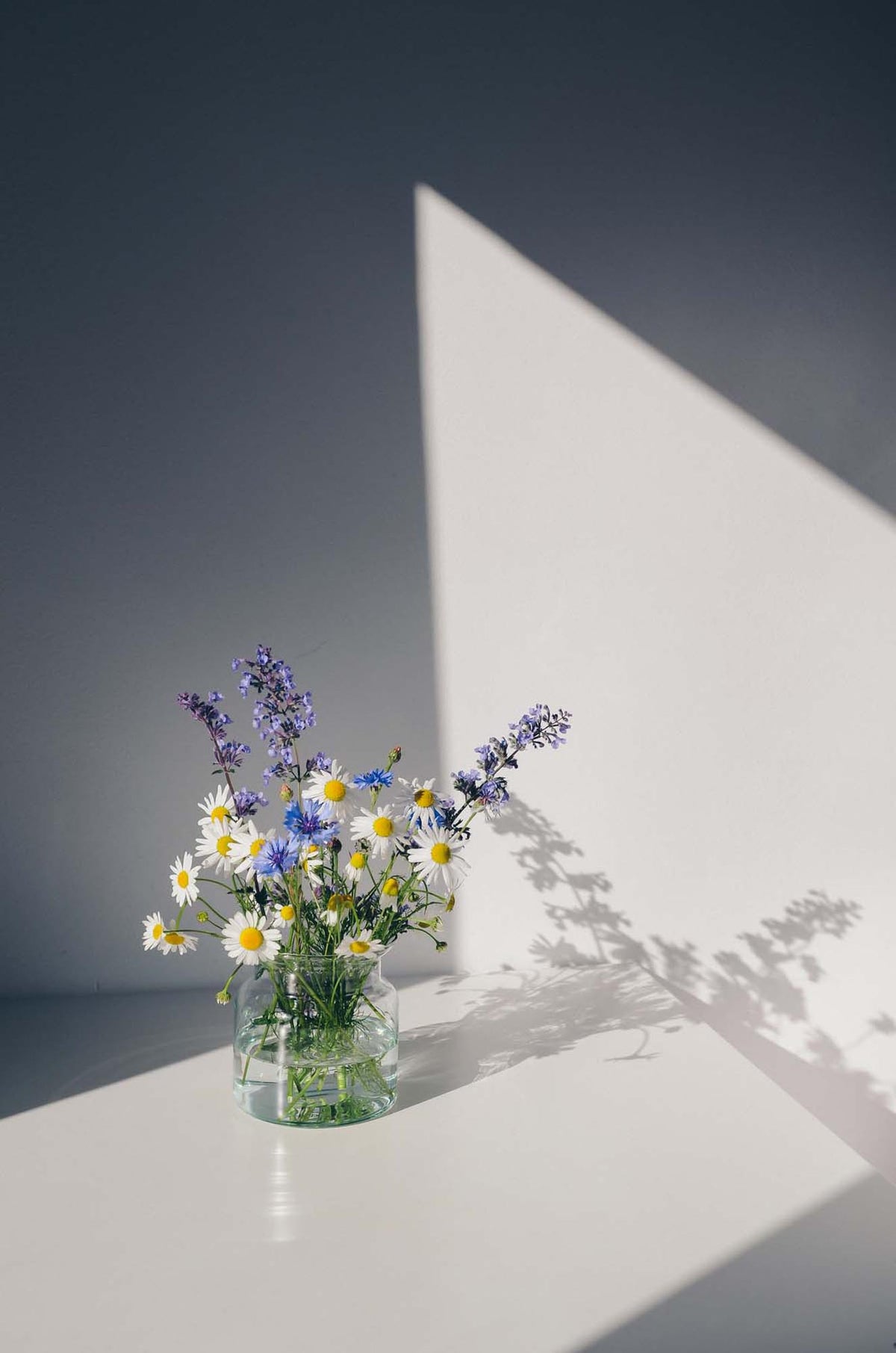 Blumen Poster in Weiss präsentiert im Onlineshop von KAQTU Design AG. Bild ist von Venture Home