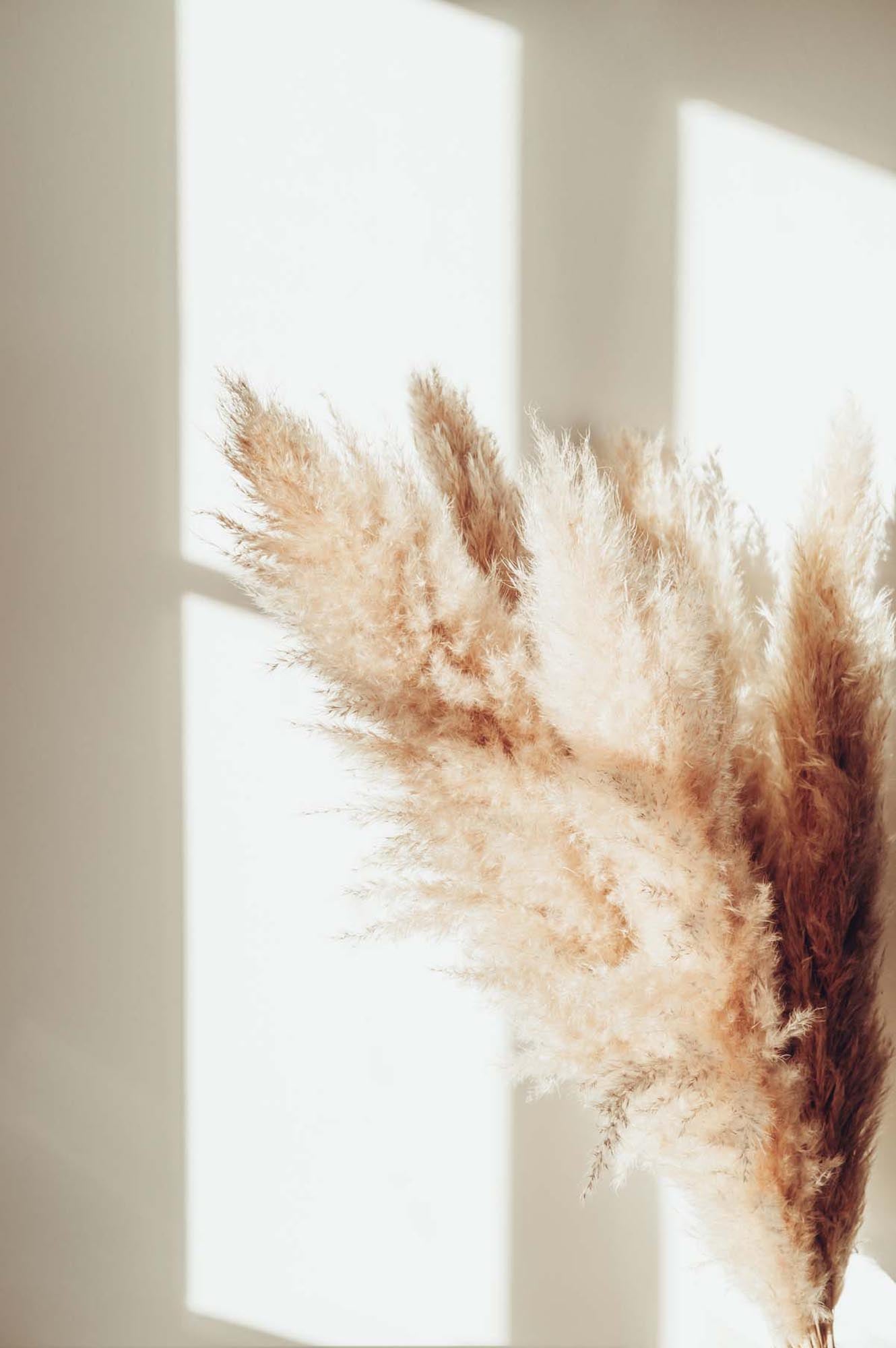 Pampas Poster in Beige präsentiert im Onlineshop von KAQTU Design AG. Bild ist von Venture Home
