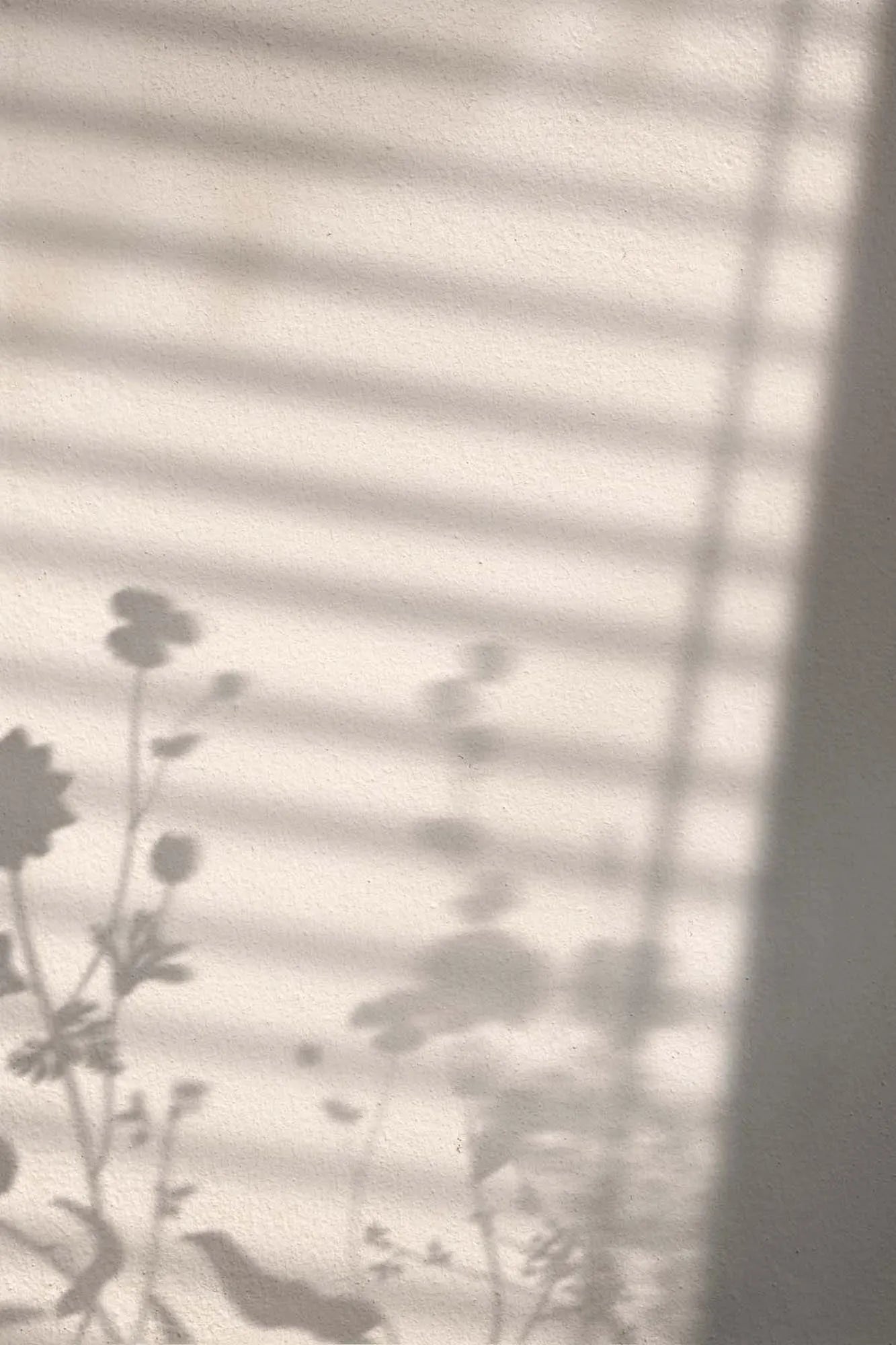 Stilvolles Poster mit floralen Silhouetten von Venture Home.