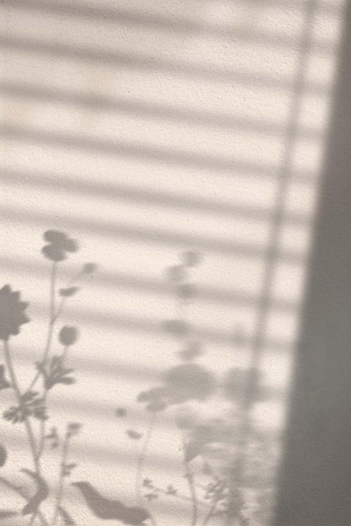 Flower Shadow Poster in Weiss präsentiert im Onlineshop von KAQTU Design AG. Bild ist von Venture Home