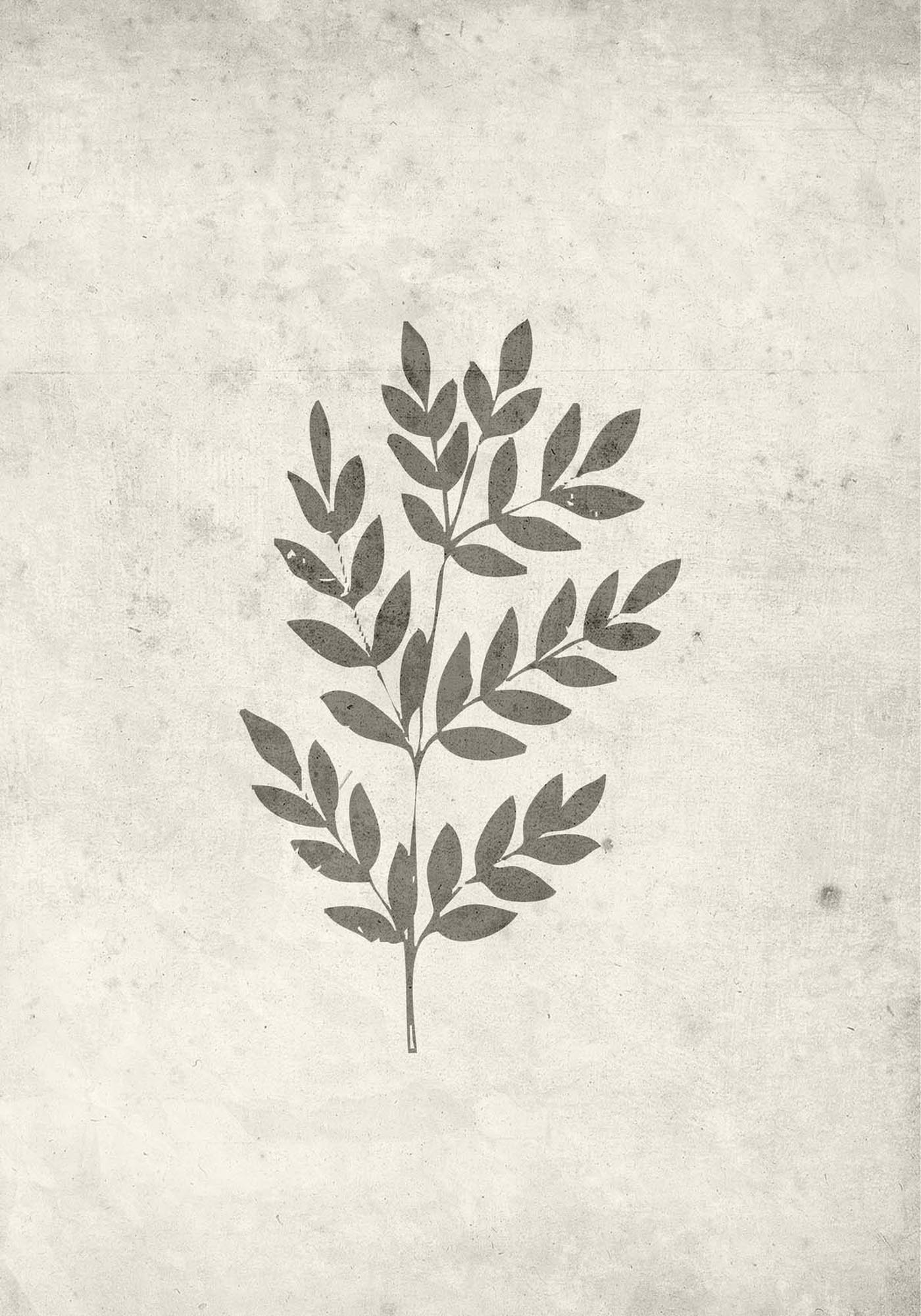 Spring Leaf Poster in Beige präsentiert im Onlineshop von KAQTU Design AG. Bild ist von Venture Home