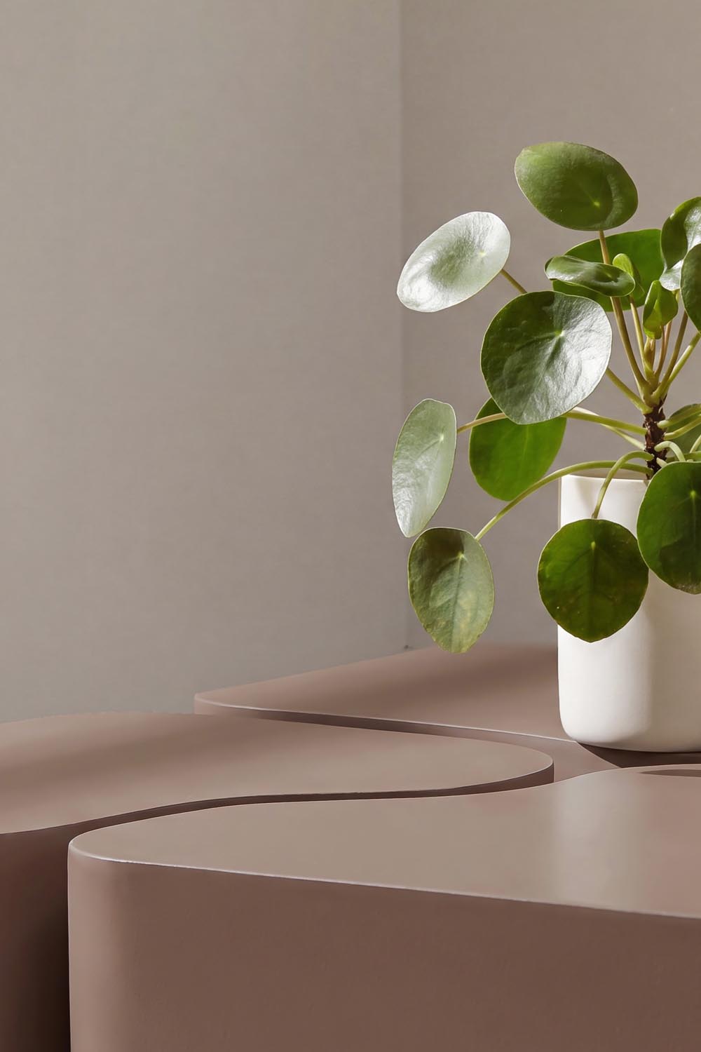 Nordland Sofa-Tisch in Braun präsentiert im Onlineshop von KAQTU Design AG. Beistelltisch ist von Venture Home