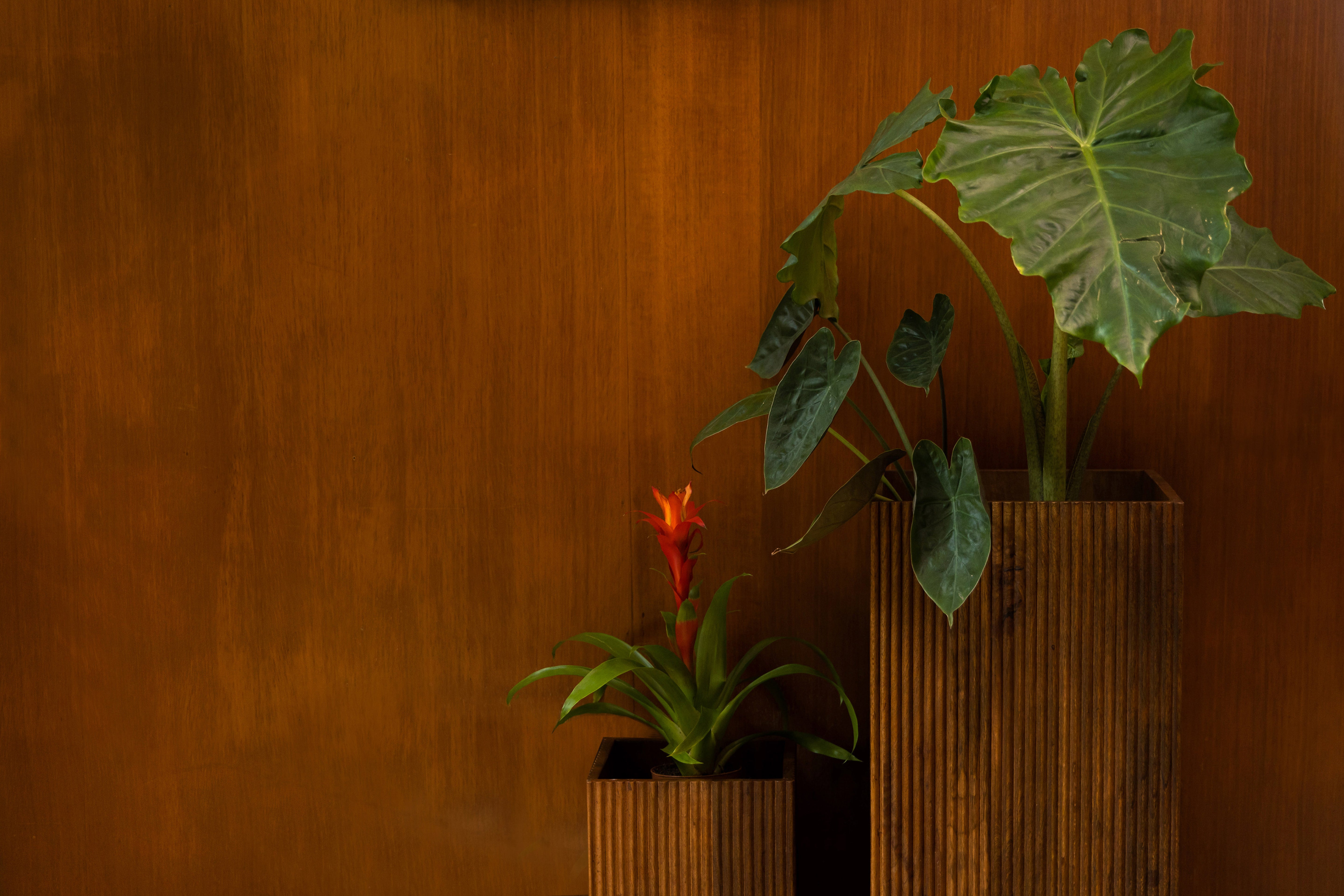 Pflanzentopf Ribble (Set Of 2) in  präsentiert im Onlineshop von KAQTU Design AG. Blumentopf ist von Dutchbone