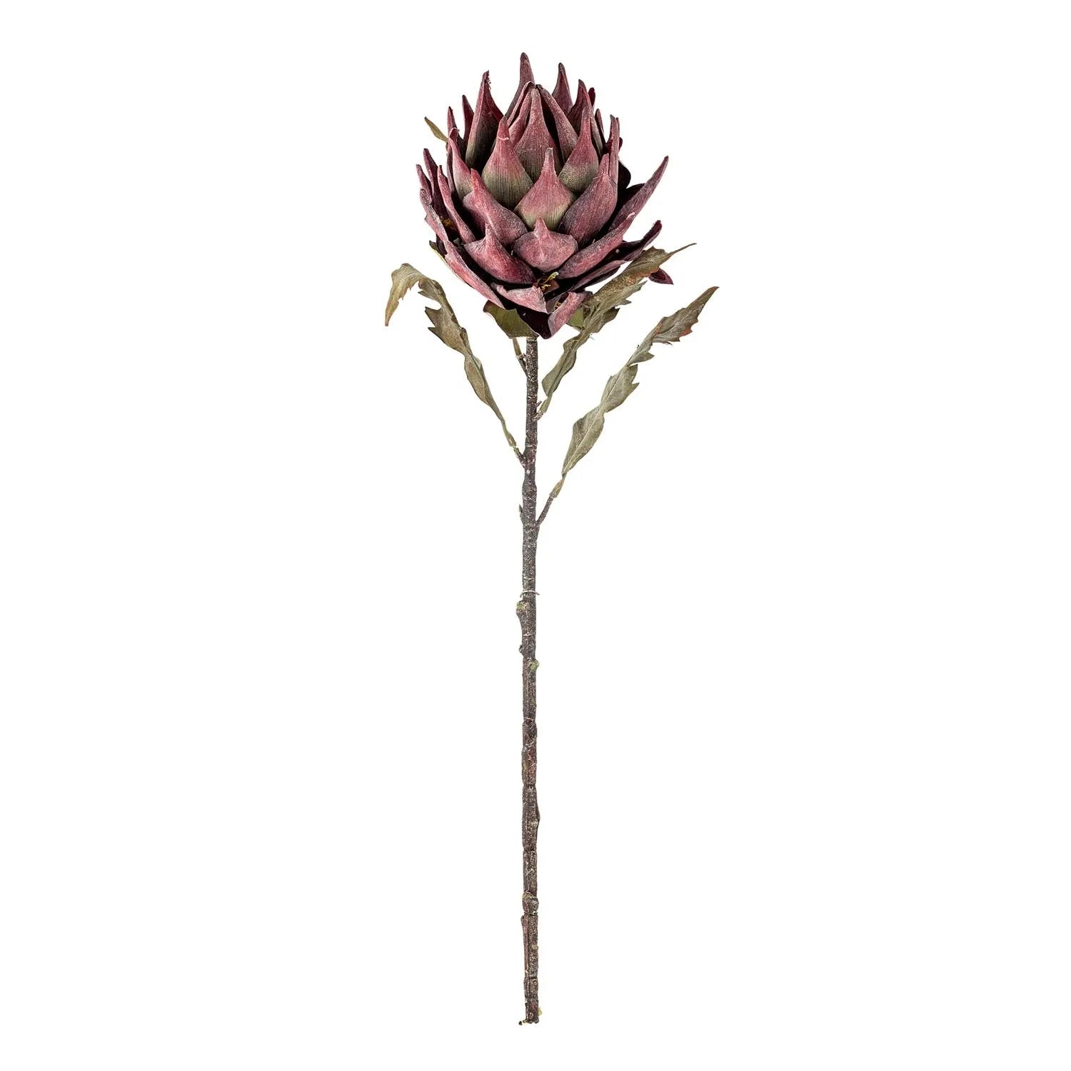 Protea Stiel, Violett, Künstliche Blumen in Lila präsentiert im Onlineshop von KAQTU Design AG. Kunstpflanze ist von Bloomingville