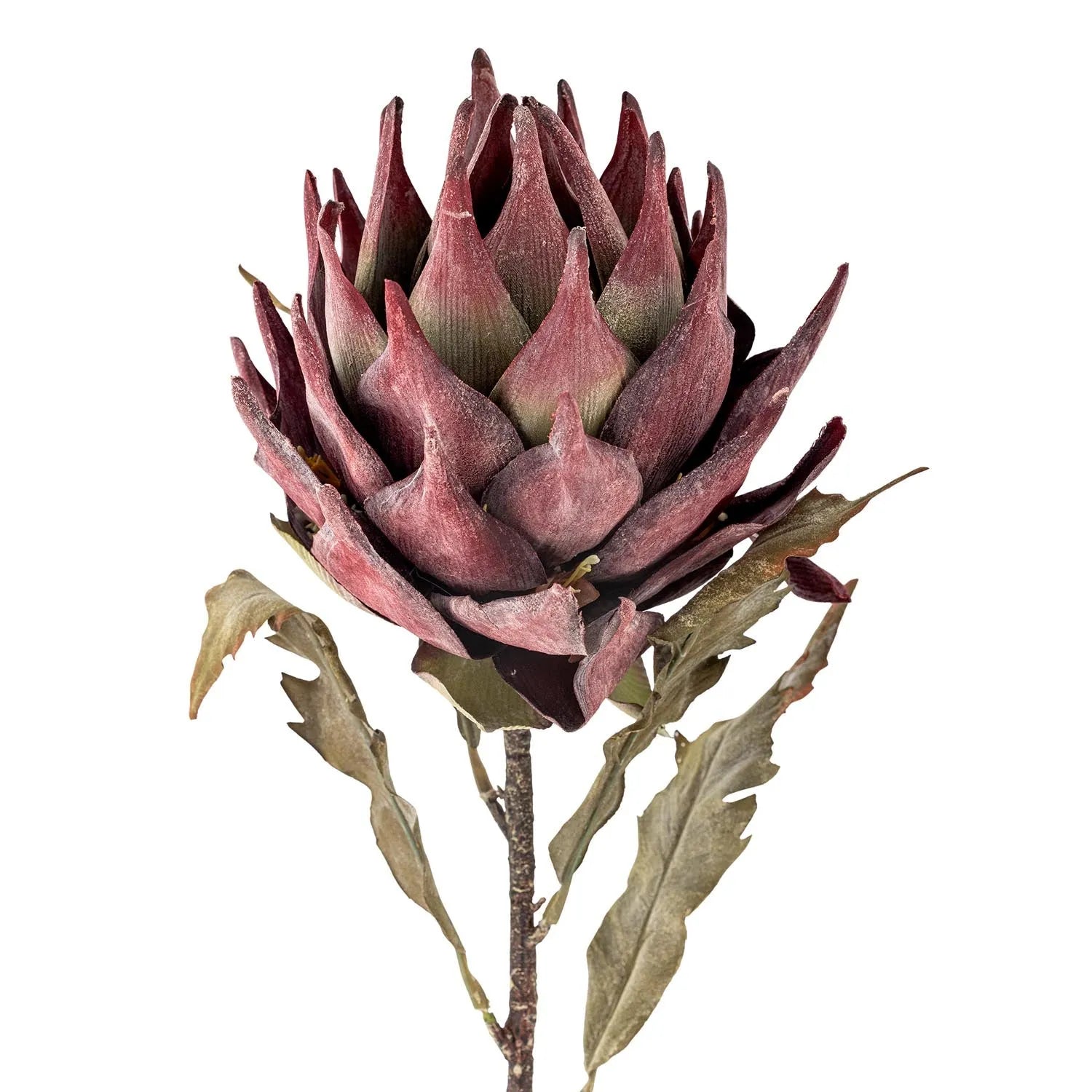 Protea Stiel, Violett, Künstliche Blumen in Lila präsentiert im Onlineshop von KAQTU Design AG. Kunstpflanze ist von Bloomingville