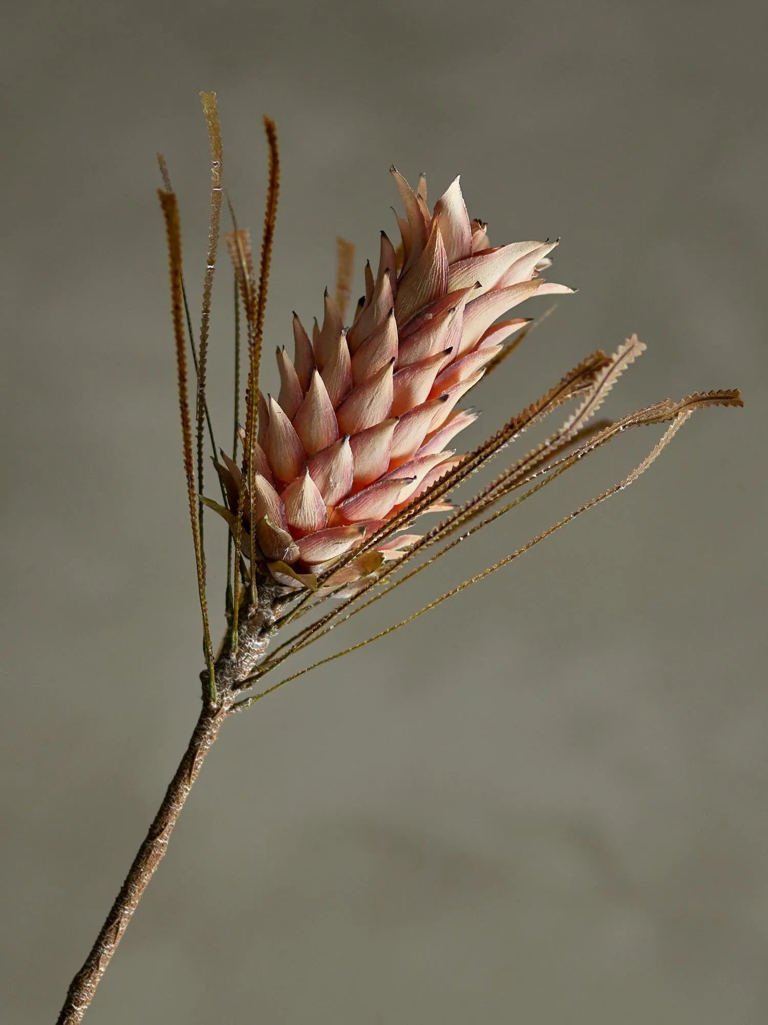 Der Palmflower Stiel in zartem Rosa bringt tropische Eleganz und pflegeleichte Frische in Ihr Zuhause.