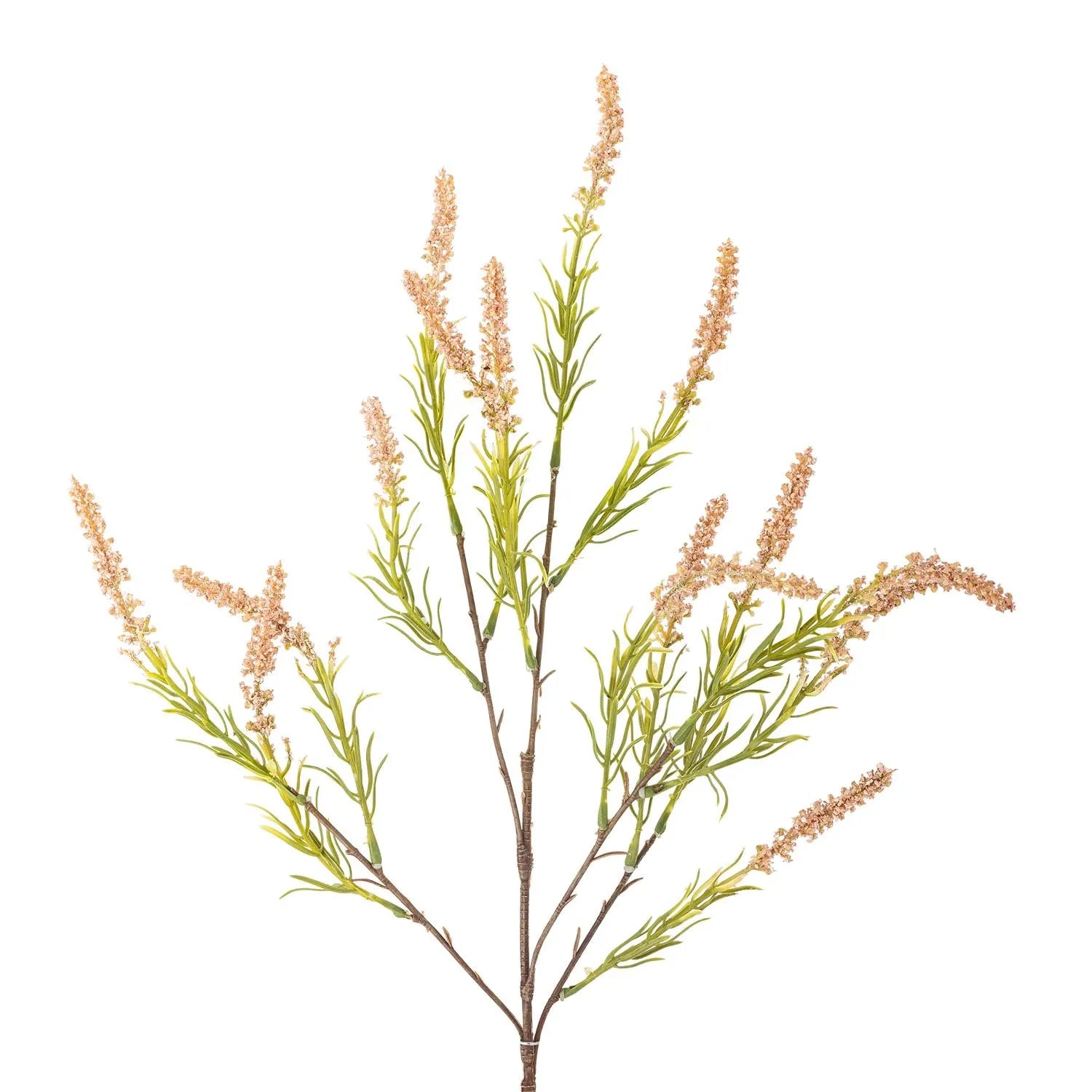 Foxtail Stiel, Rose, Künstliche Blumen in Rose präsentiert im Onlineshop von KAQTU Design AG. Kunstpflanze ist von Bloomingville