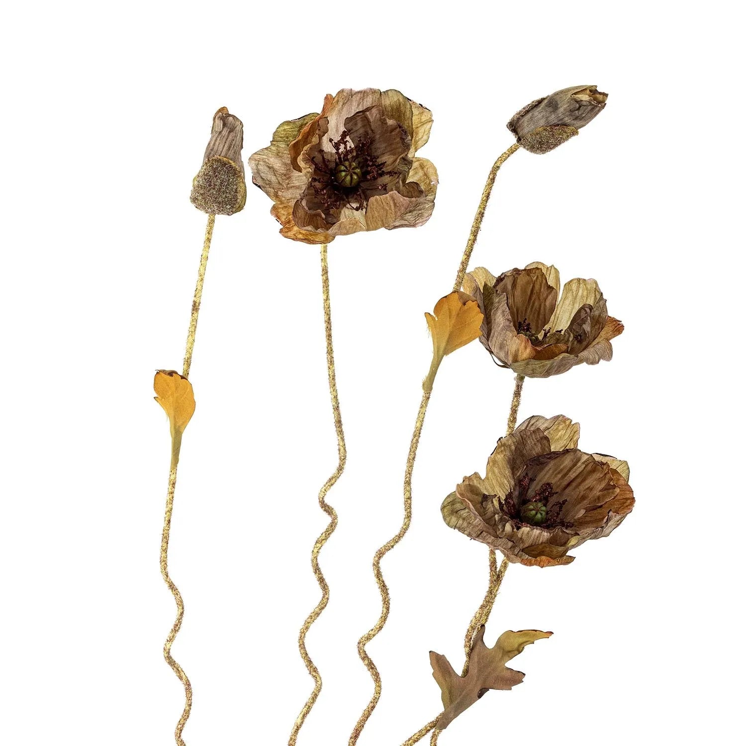 Der Poppy Stiel in Braun von Bloomingville bringt mit seiner naturgetreuen Optik stilvolle Eleganz in jeden Raum.