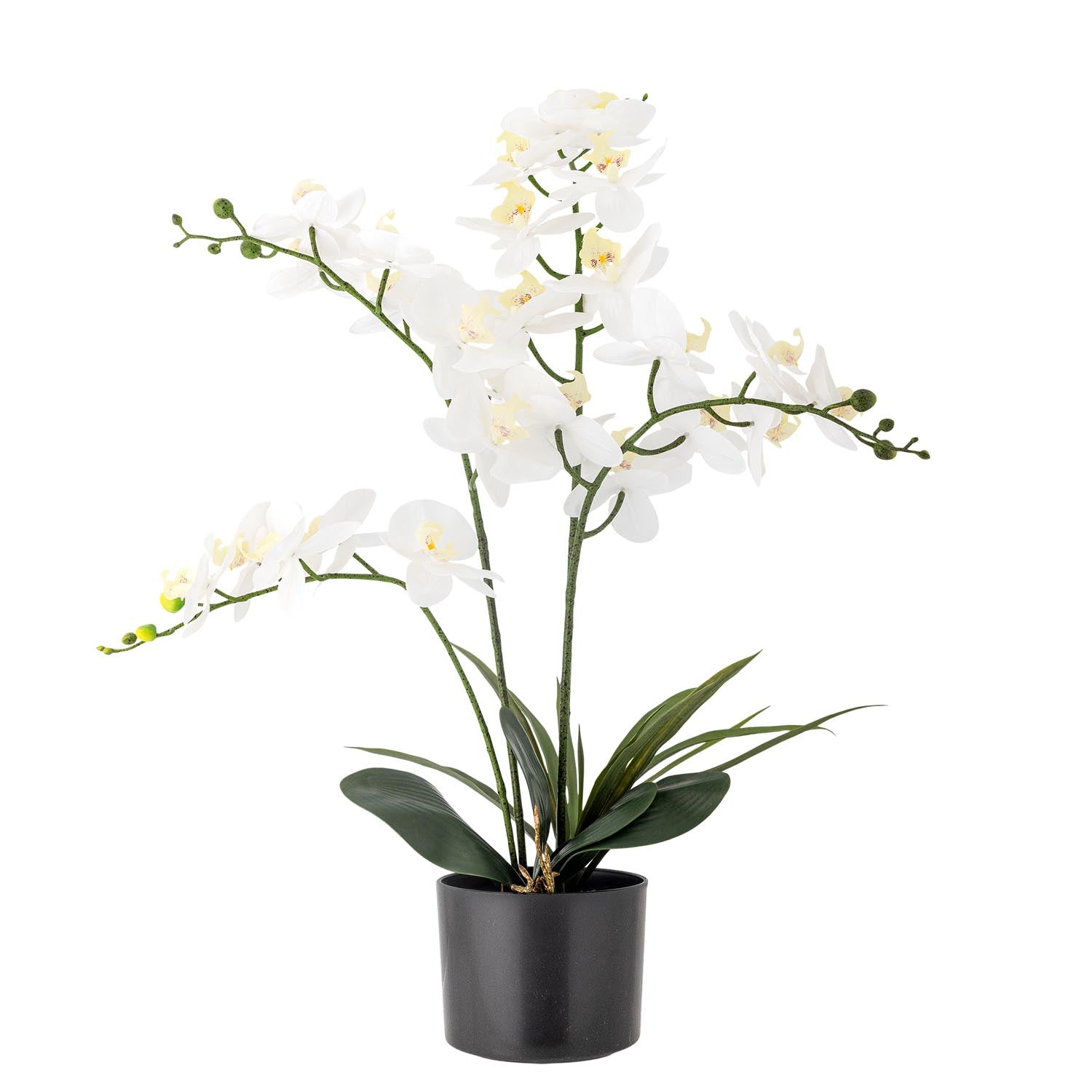 Pianta di orchidee, fiori verdi, artificiali