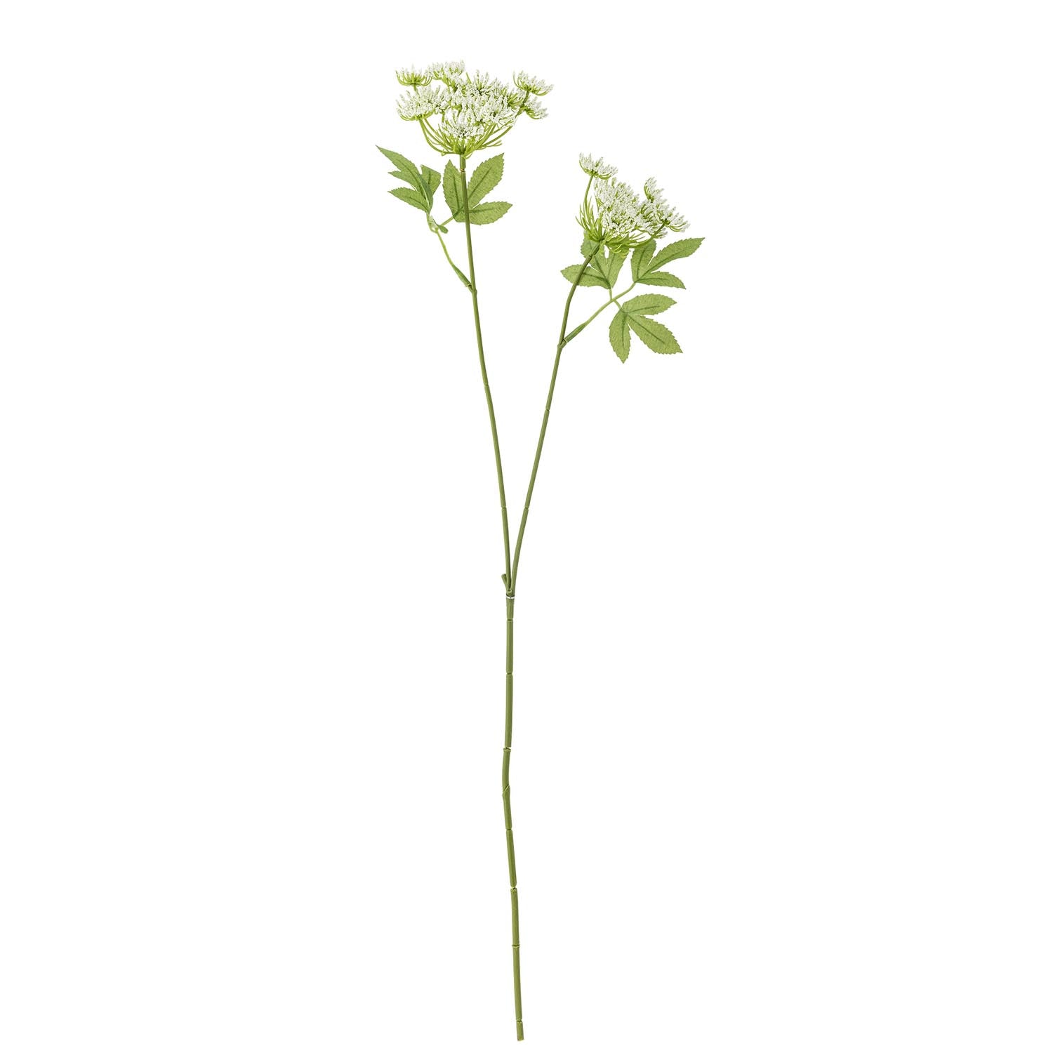 Künstlicher Fennel Stiel von Bloomingville: Elegante, pflegeleichte Deko mit weissen Blüten für stilvolle Räume.