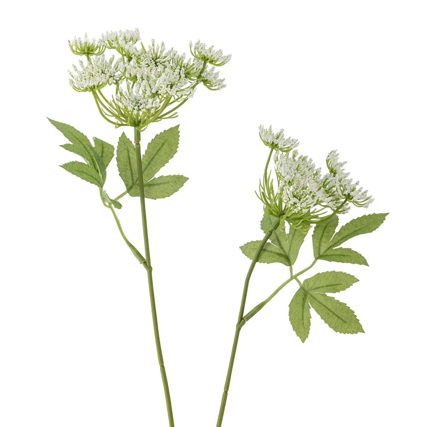 Eleganter Fennel Stiel in Weiß von Bloomingville – pflegeleichte, stilvolle Deko für jeden Raum.
