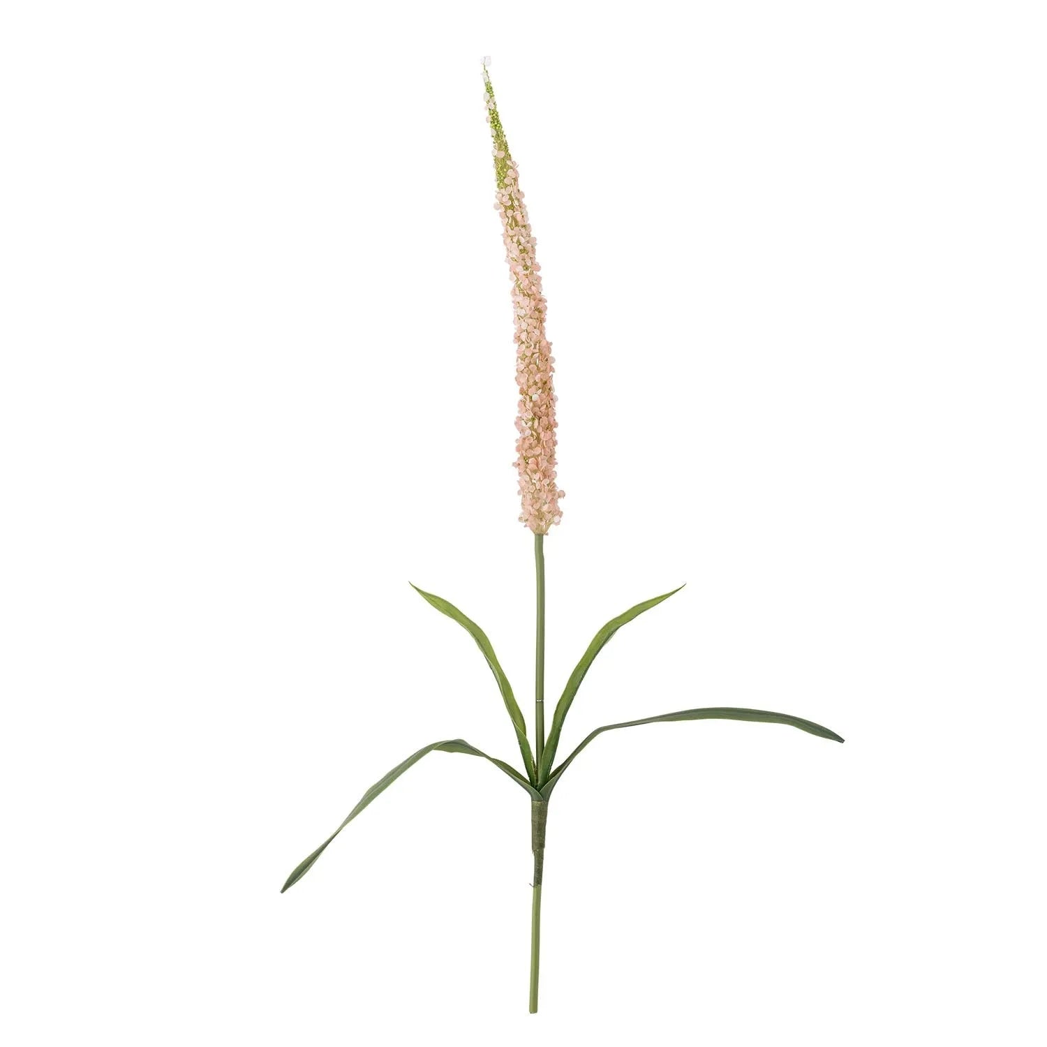 Foxtail Stiel, Rose, Künstliche Blumen in Rose präsentiert im Onlineshop von KAQTU Design AG. Kunstpflanze ist von Bloomingville