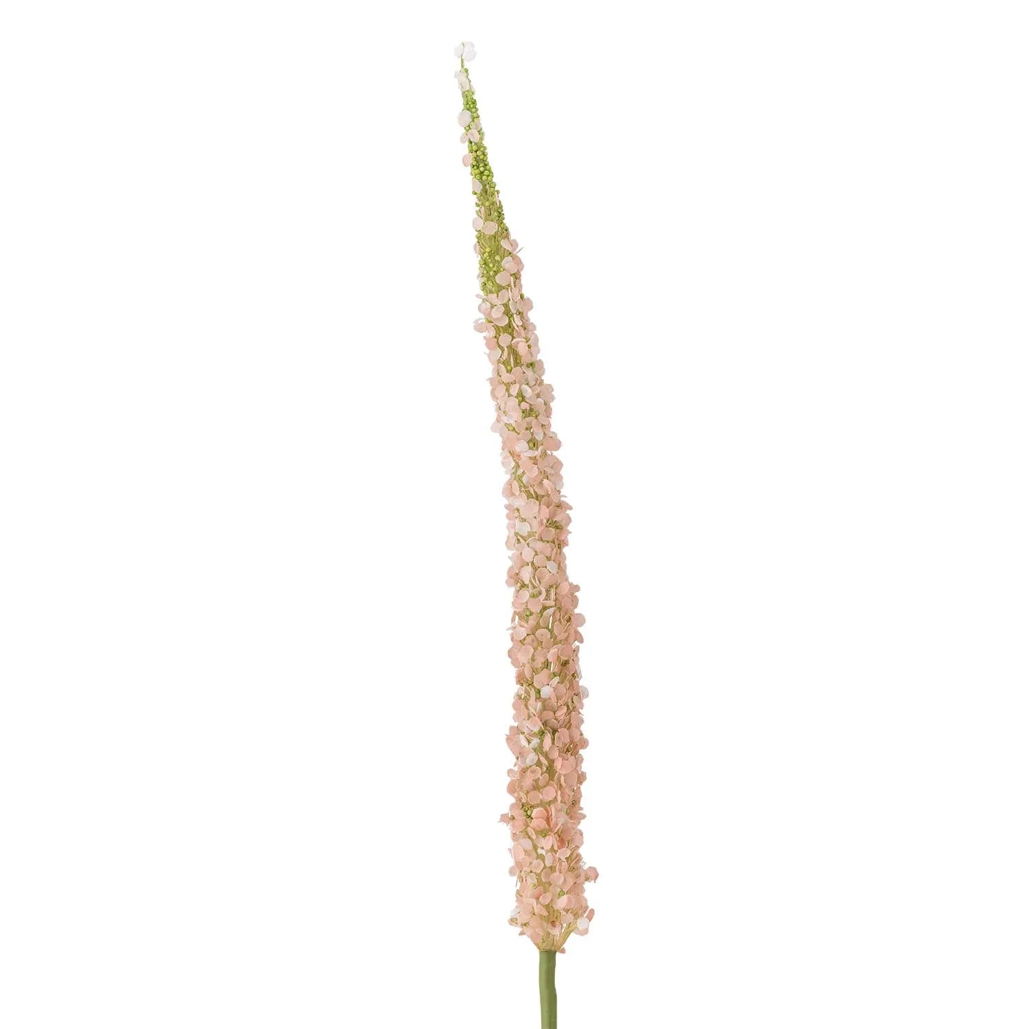 Foxtail Stiel, Rose, Künstliche Blumen in Rose präsentiert im Onlineshop von KAQTU Design AG. Kunstpflanze ist von Bloomingville