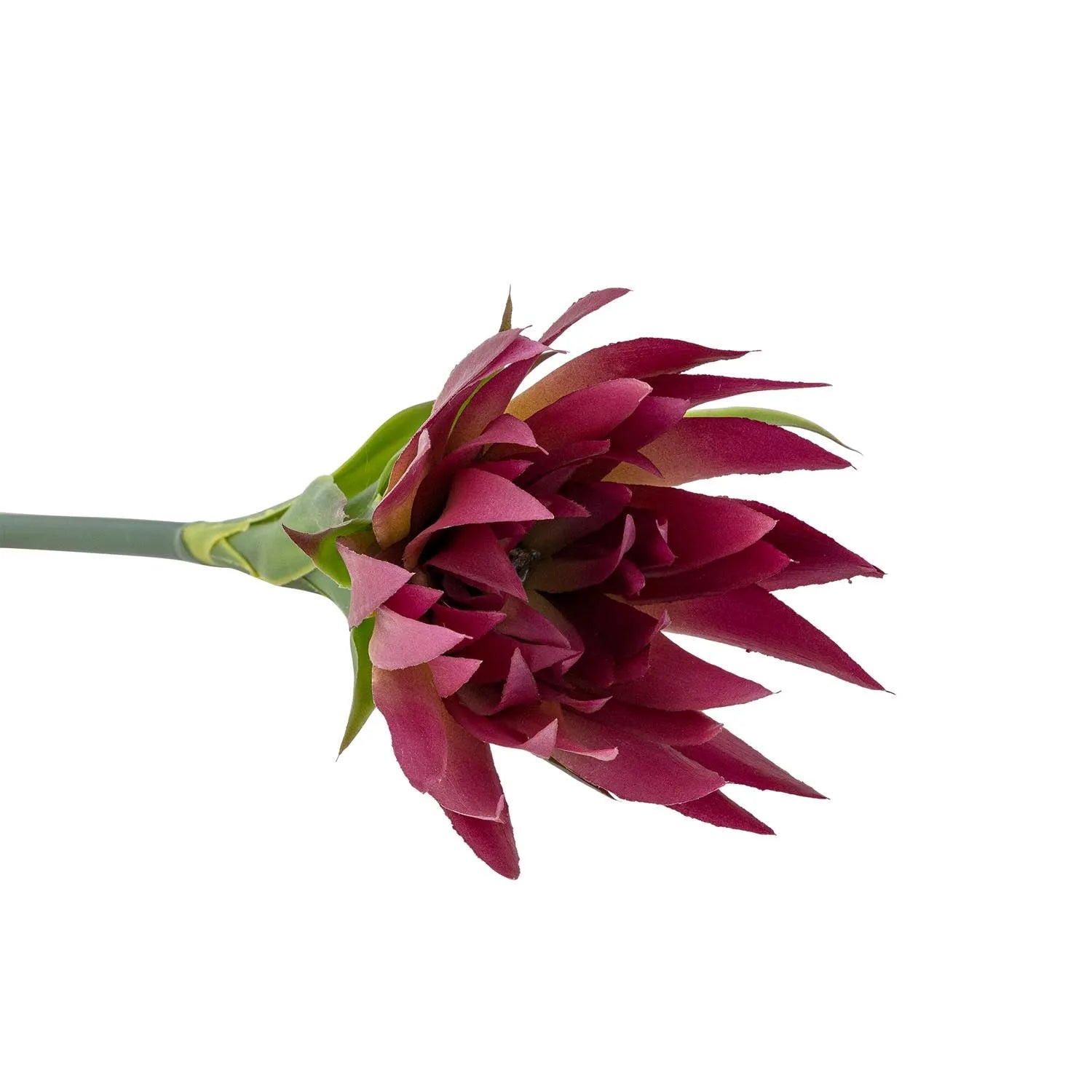Elegante violette Lilie von Bloomingville, täuschend echt, pflegeleicht und flexibel für stilvolle Dekoration.