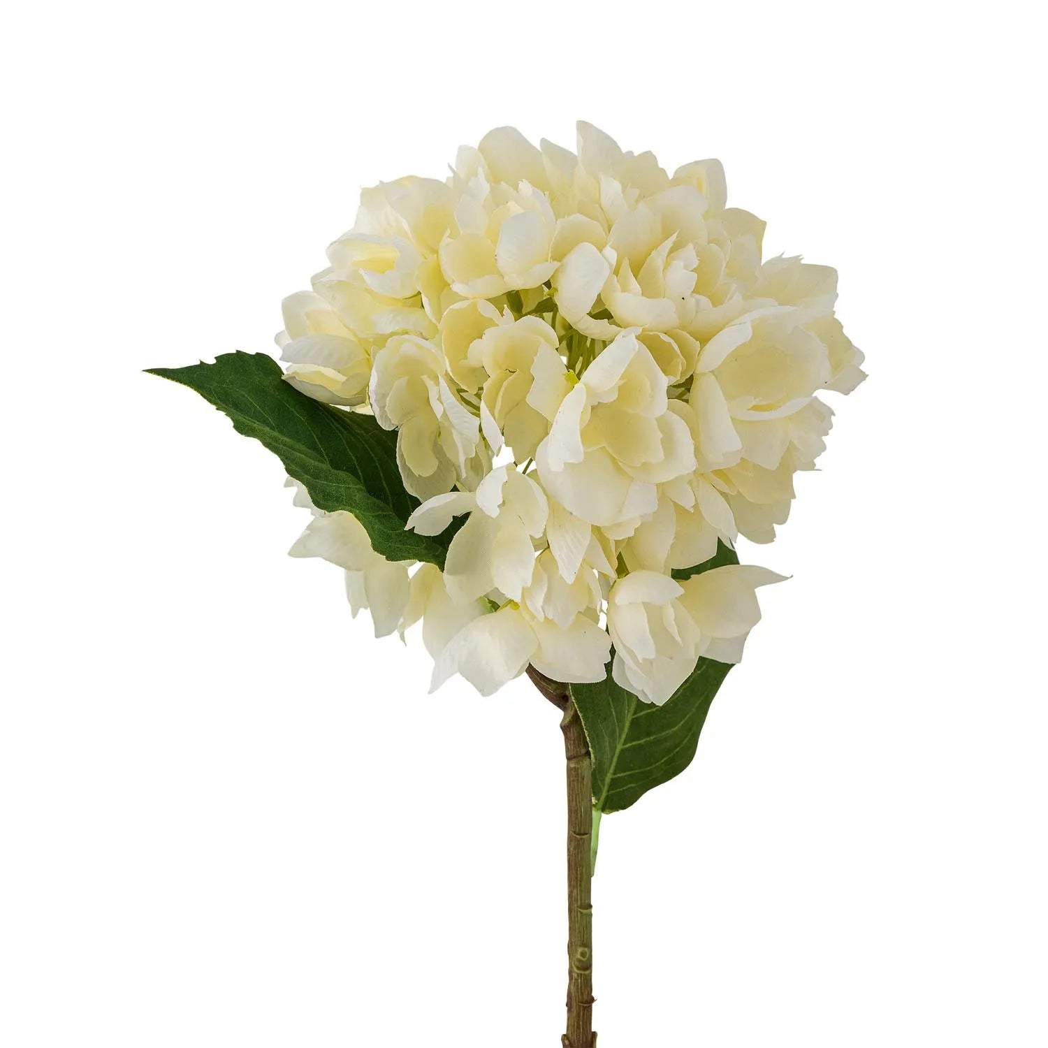 Hydrangea Stiel, Weiss, Künstliche Blumen in Weiß präsentiert im Onlineshop von KAQTU Design AG. Kunstpflanze ist von Bloomingville