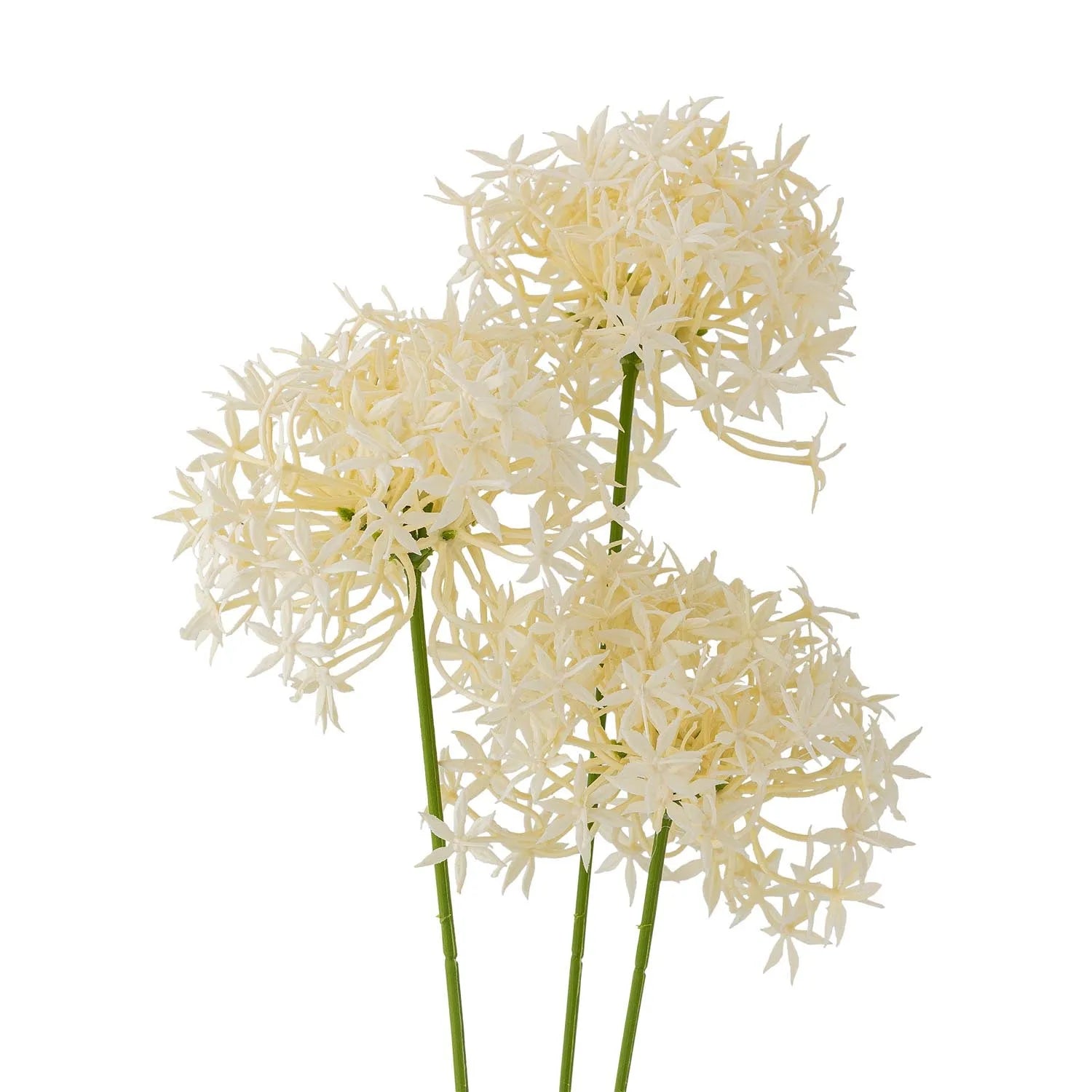 Der weiße Allium Stiel von Bloomingville bringt elegante, pflegeleichte Blütenpracht in Ihr Zuhause.