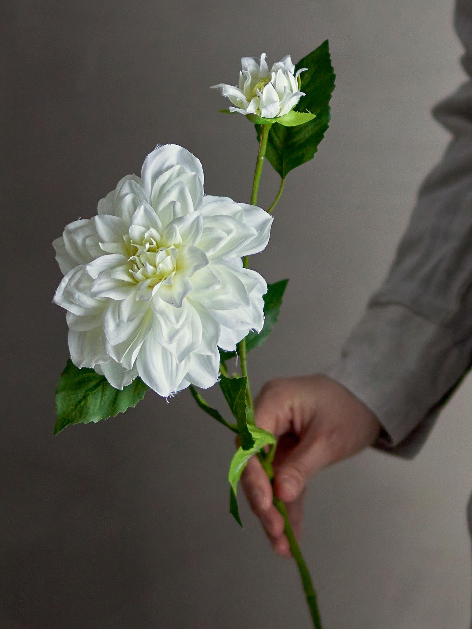 Elegante, weisse Dahlie von Bloomingville: Detailgetreu, pflegeleicht, flexibel – zeitlose Schönheit für Ihr Zuhause.