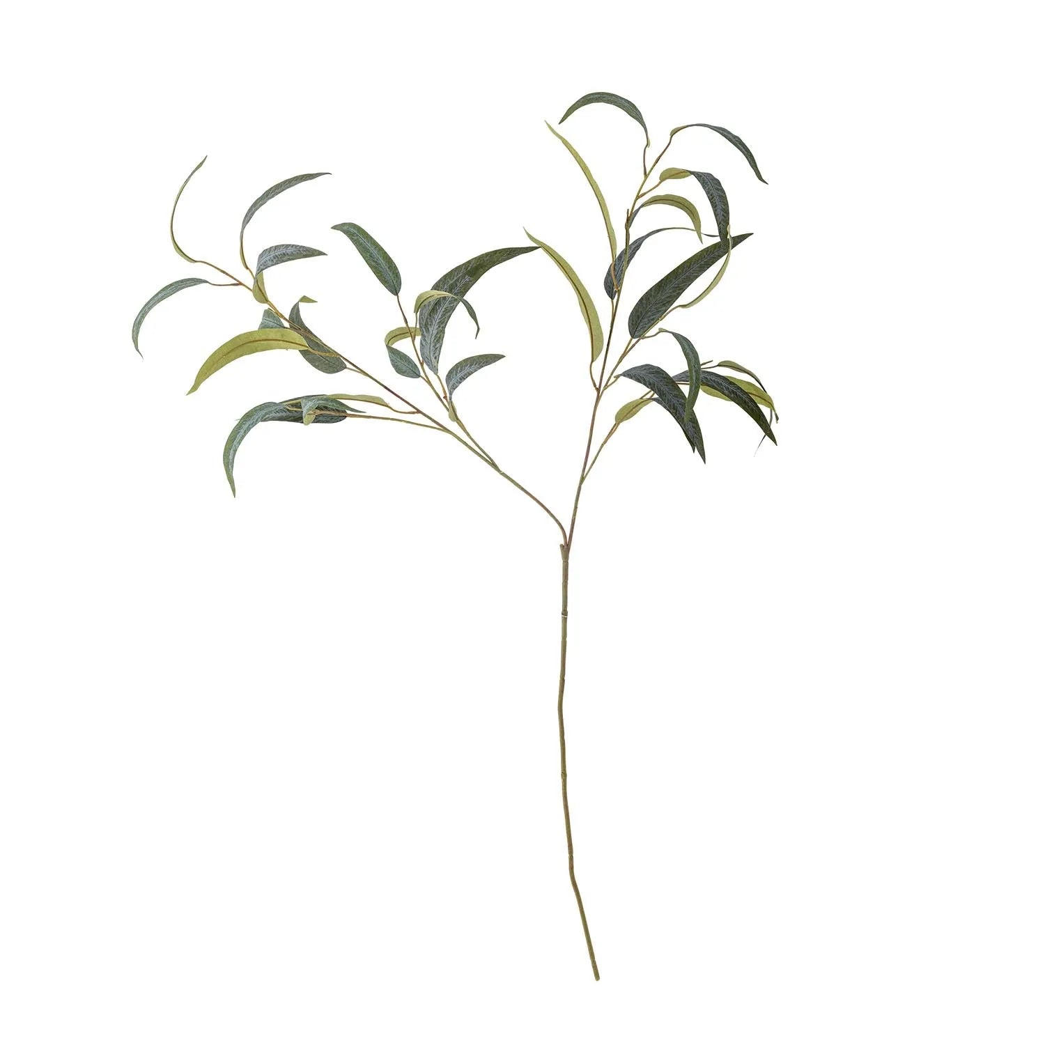 Eucalyptus Stiel, Grün, Künstliche Blumen in Grün präsentiert im Onlineshop von KAQTU Design AG. Kunstpflanze ist von Bloomingville
