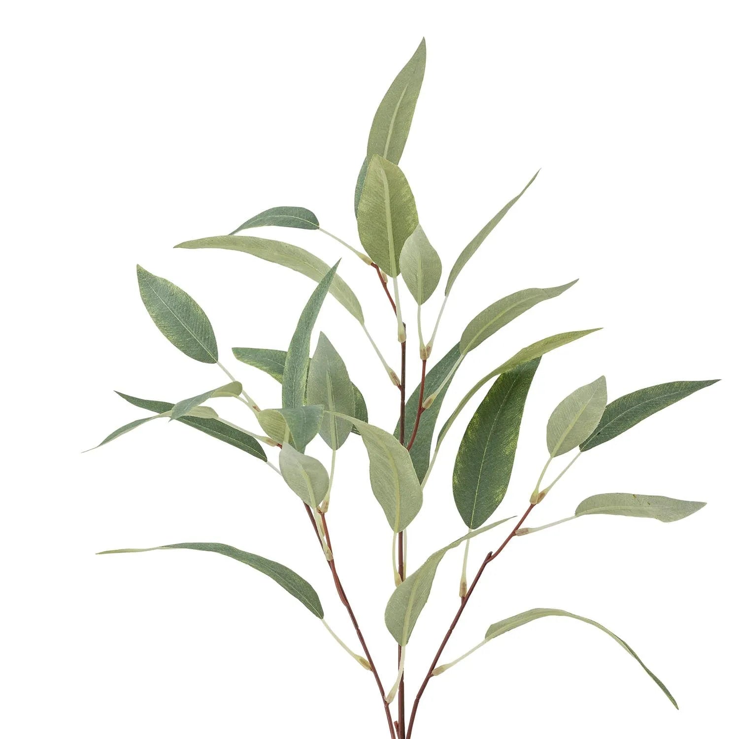 Eucalyptus Stiel, Grün, Künstliche Blumen in Grün präsentiert im Onlineshop von KAQTU Design AG. Kunstpflanze ist von Bloomingville