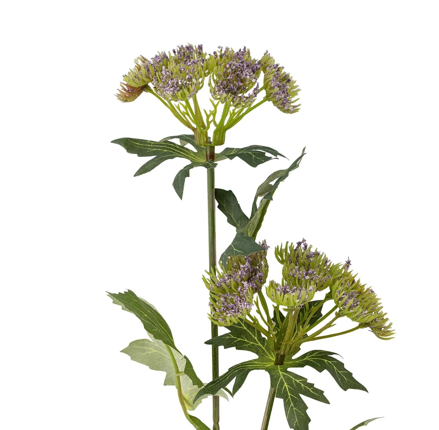 Ein eleganter violetter Throatwort Stiel von Bloomingville, der jedem Raum Farbe und Stil verleiht, ohne Pflegeaufwand.