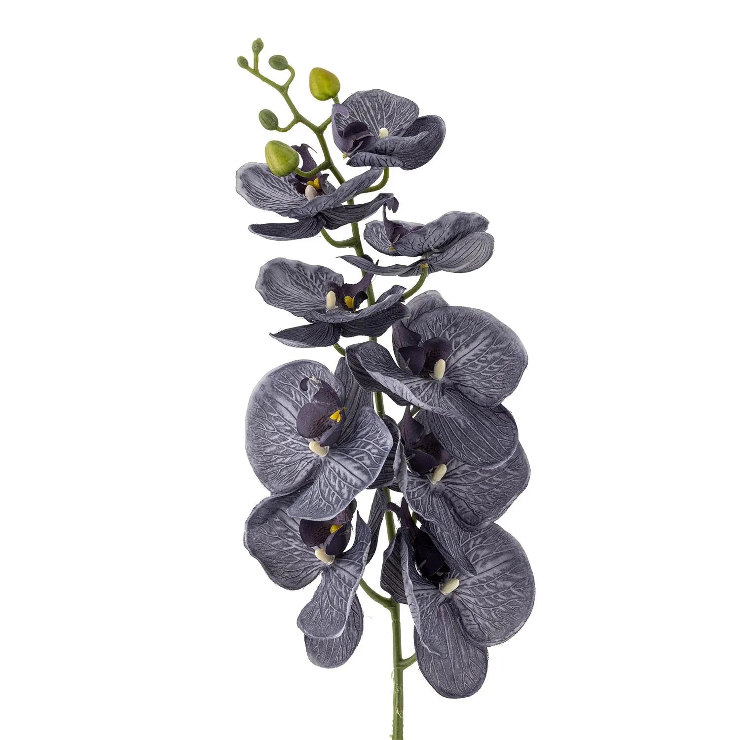 Elegante violette Orchidee von Bloomingville: Pflegeleichte Schönheit für Ihr Zuhause, die nie verblasst.