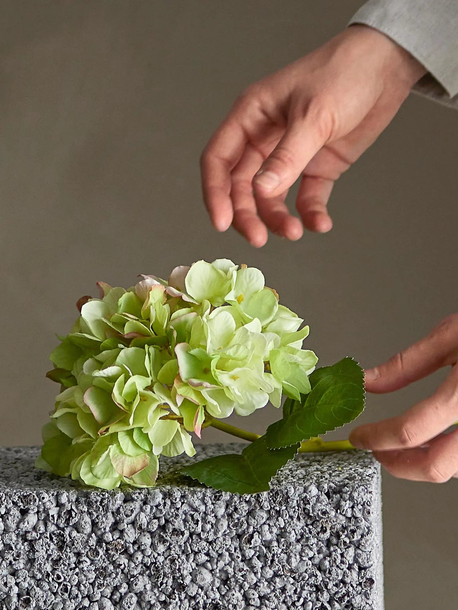 Hydrangea Stiel, Weiss, Künstliche Blumen in Weiß präsentiert im Onlineshop von KAQTU Design AG. Kunstpflanze ist von Bloomingville