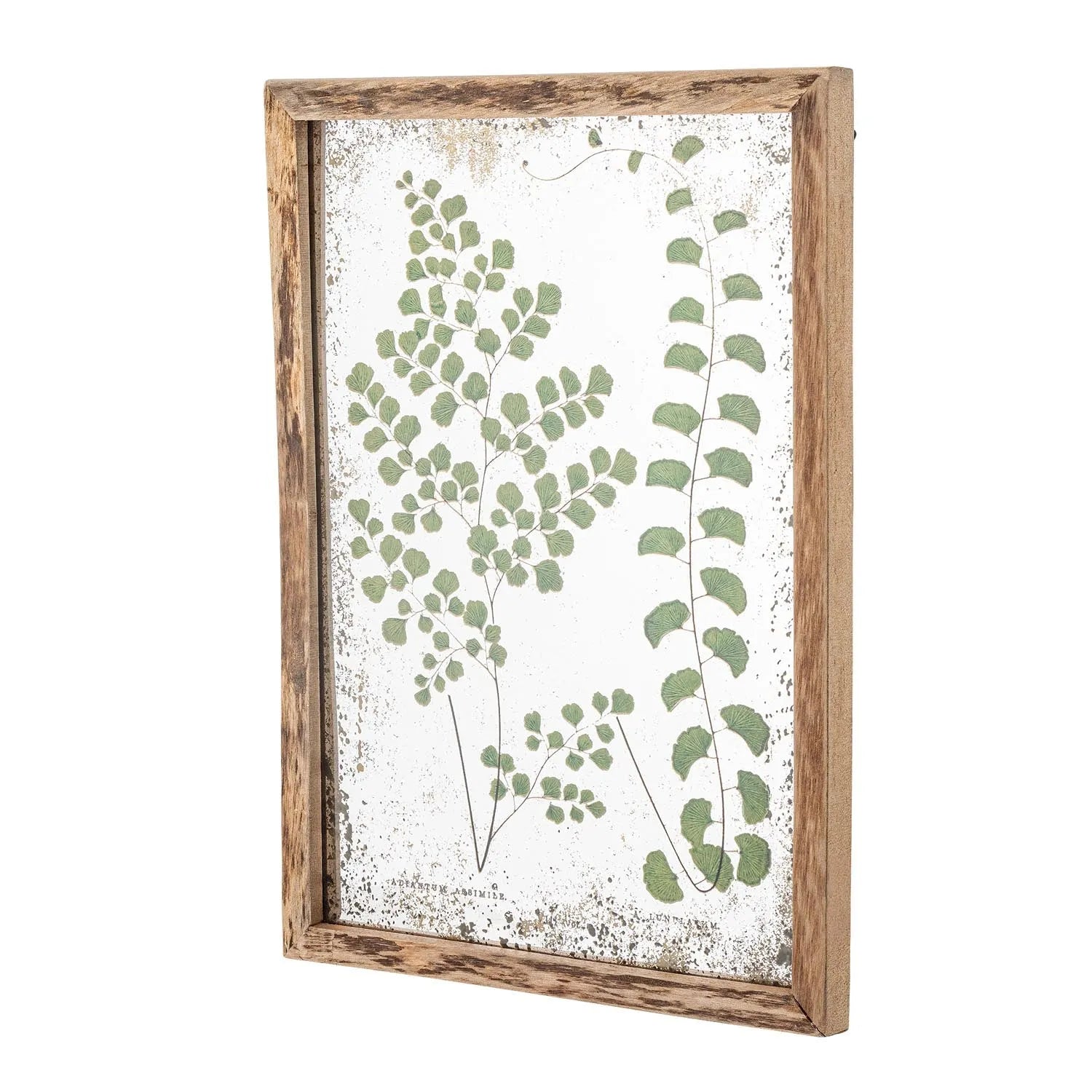 Einzigartige Blattillustration im Tannenholzrahmen, die Natur und Vintage-Charme in Ihr Zuhause bringt.