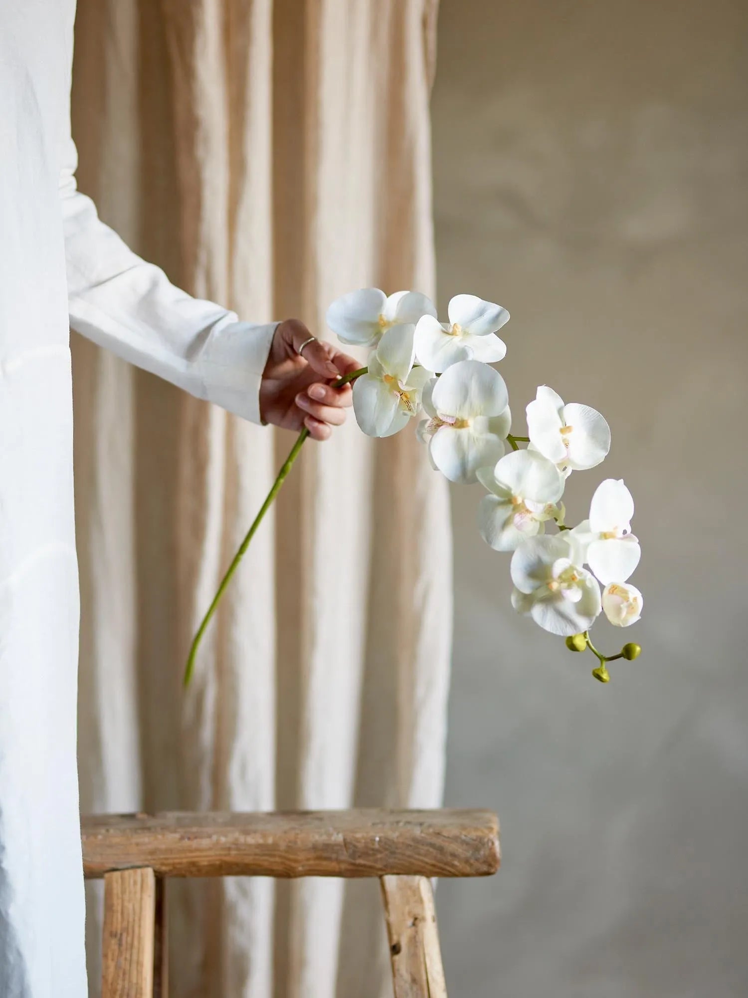 Orchid Stiel, Weiss, Künstliche Blumen in Weiß präsentiert im Onlineshop von KAQTU Design AG. Kunstpflanze ist von Bloomingville