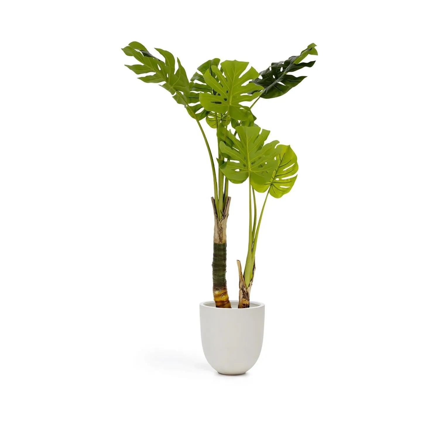 Monstera Kunstpflanze 130 cm von Kave Home: Pflegeleicht, langlebig, realistische Blätter, eleganter schwarzer Topf, ideal für Innen- und Außenräume.