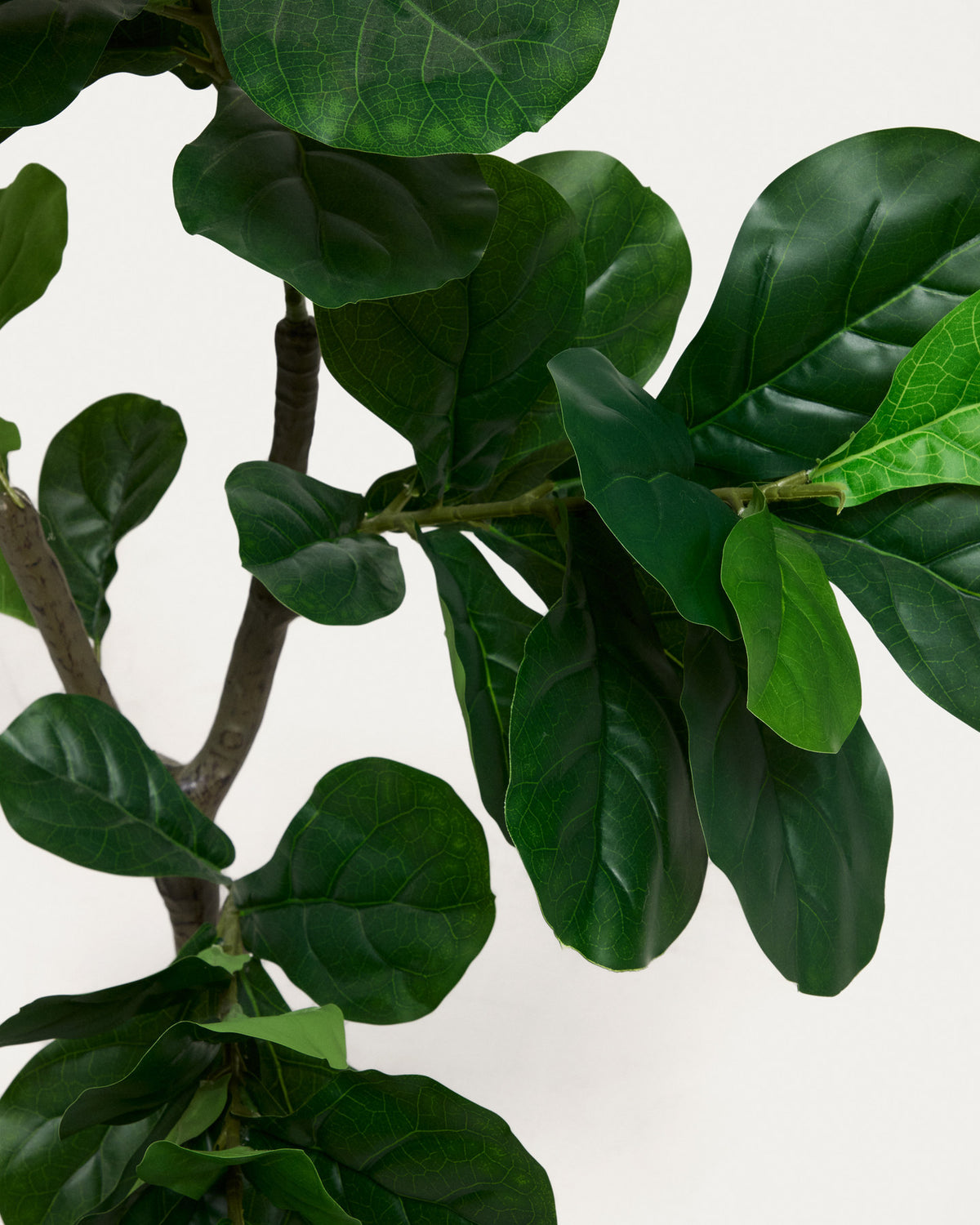 Ficus Kunstpflanze 150 cm in Grün, Schwarz präsentiert im Onlineshop von KAQTU Design AG. Kunstpflanze ist von Kave Home