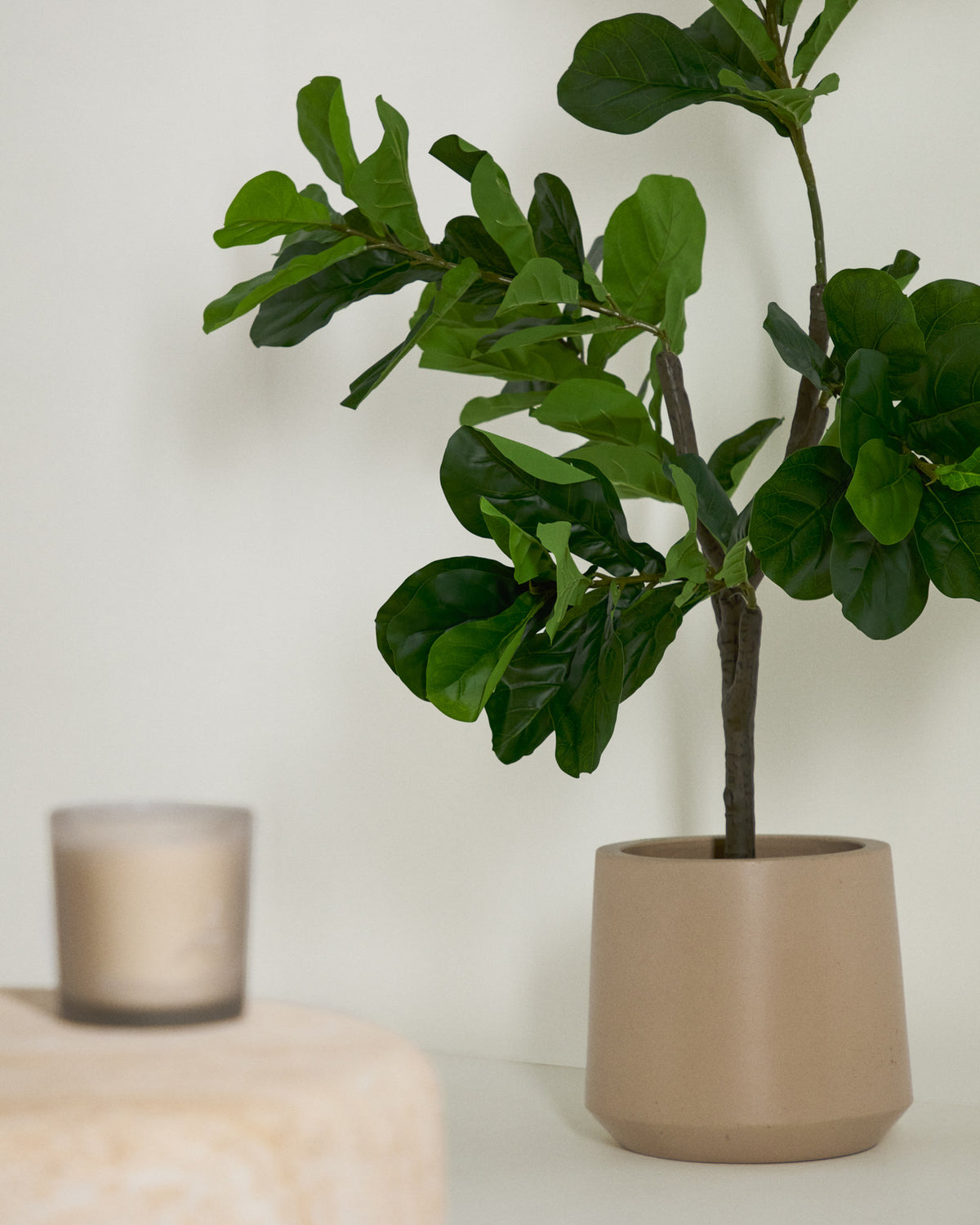 Ficus Kunstpflanze 150 cm in Grün, Schwarz präsentiert im Onlineshop von KAQTU Design AG. Kunstpflanze ist von Kave Home