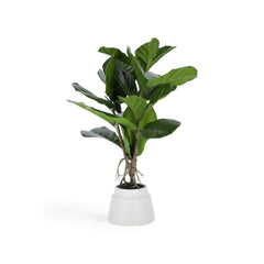 <tc>Lyra</tc>ta plante artificielle 60 cm