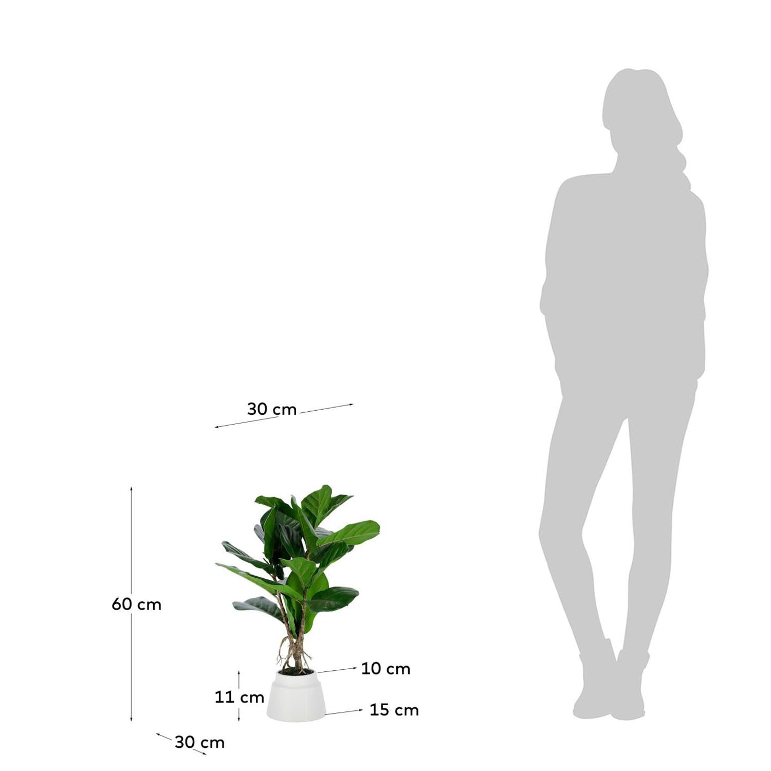 Lyrata Kunstpflanze 60 cm: Natürliche Eleganz ohne Pflegeaufwand.