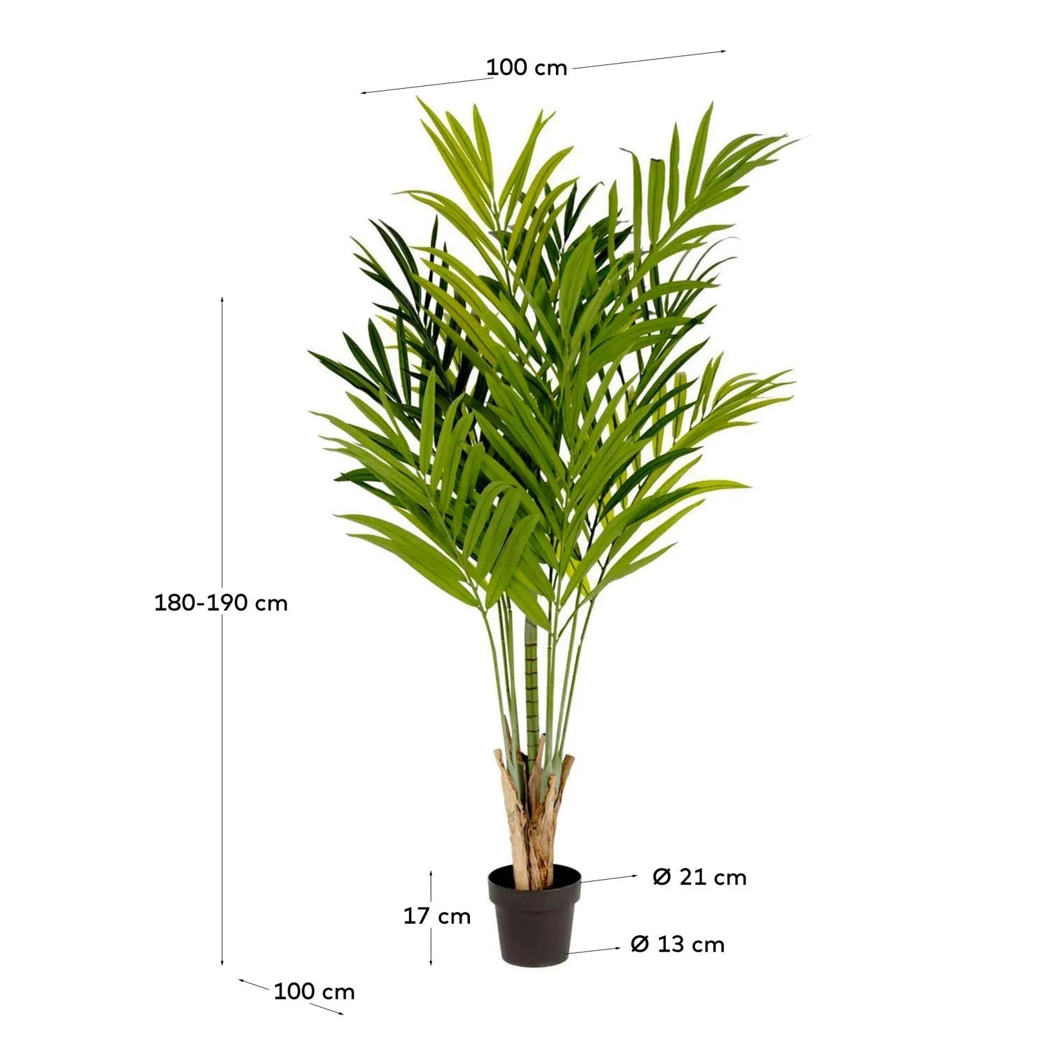 Elegante 170 cm Bambuspalme von Kave Home für zeitlose Raumakzente.