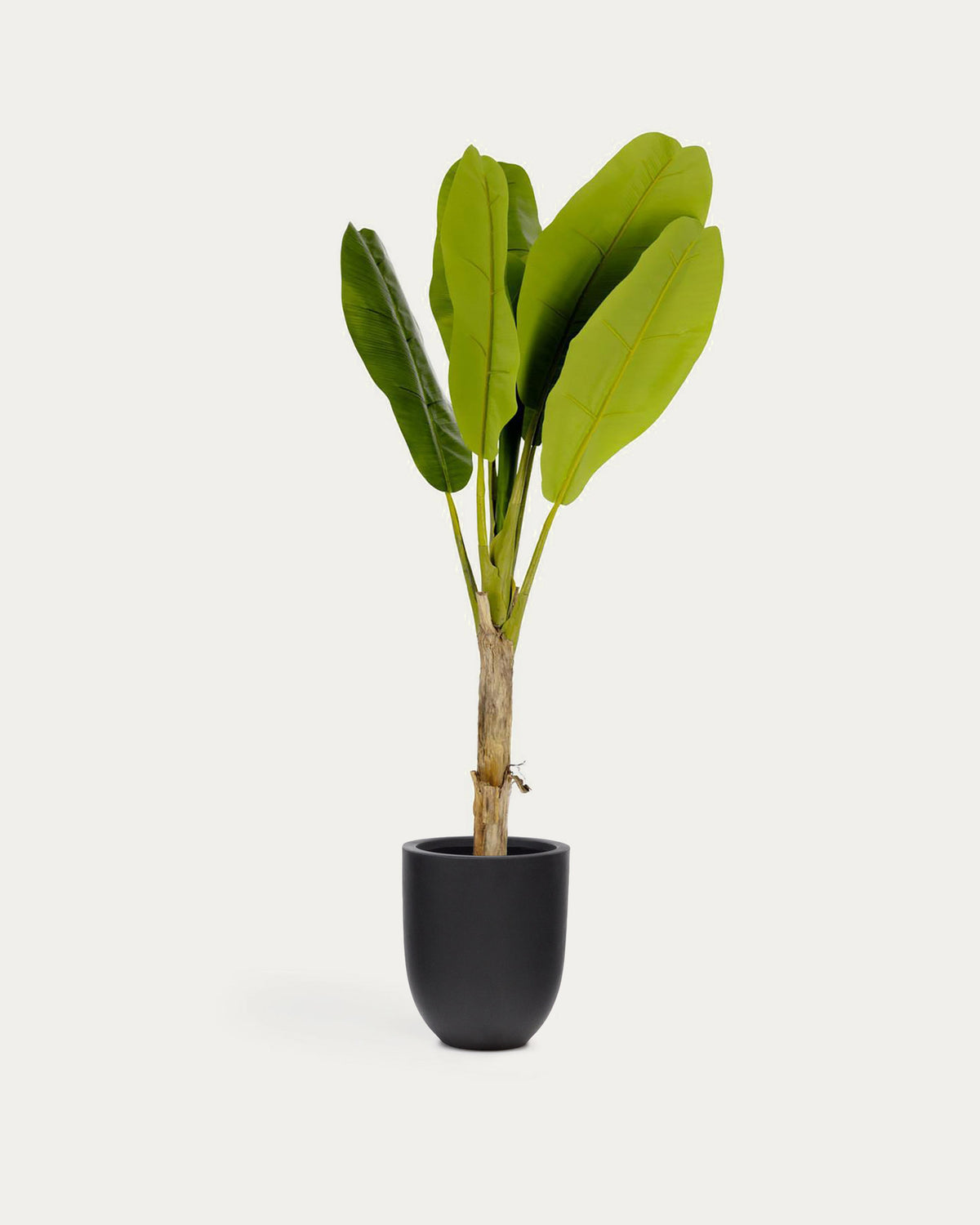 Baenbaum Kunstpflanze 160 cm in Grün, Schwarz präsentiert im Onlineshop von KAQTU Design AG. Kunstpflanze ist von Kave Home