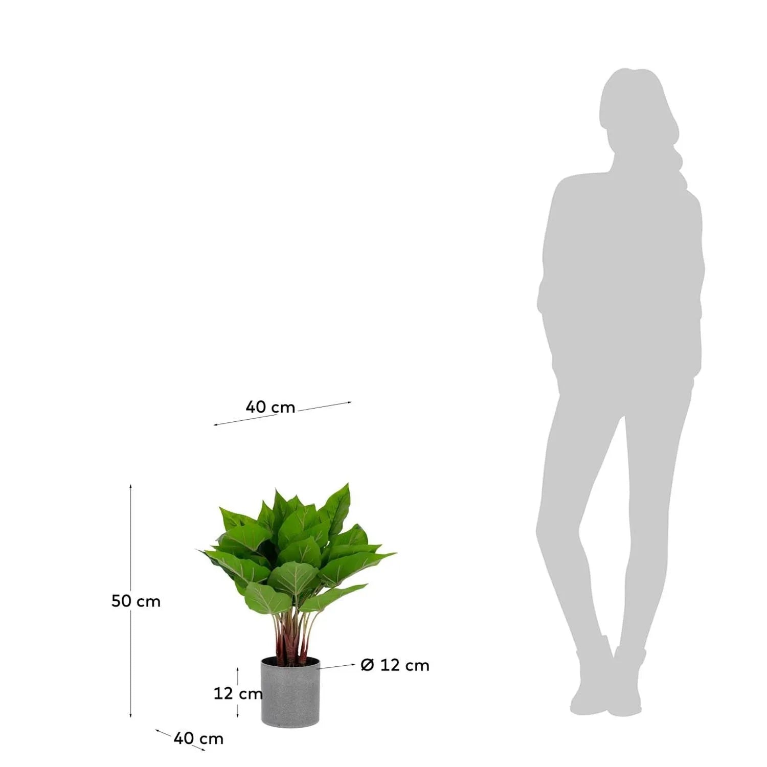Anthurium Kunstpflanze 50 cm von Kave Home: Natürliche Schönheit im Raum.