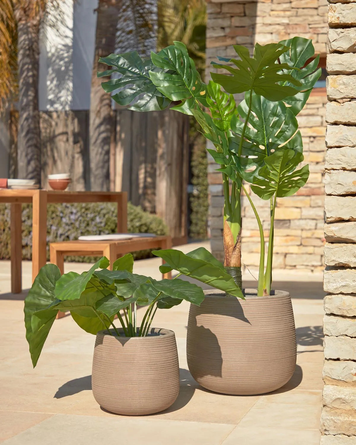 Alocasia Odora Kunstpflanze 57 cm im eleganten schwarzen Topf.