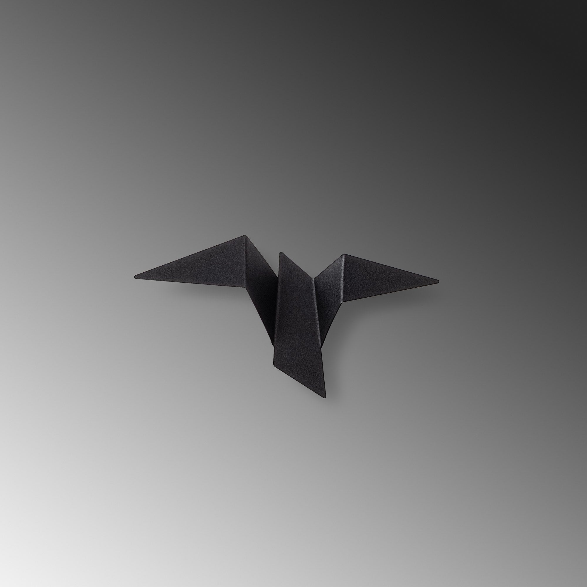 Pacalı - 13500 - M in Schwarz präsentiert im Onlineshop von KAQTU Design AG. Wandleuchte ist von Opviq