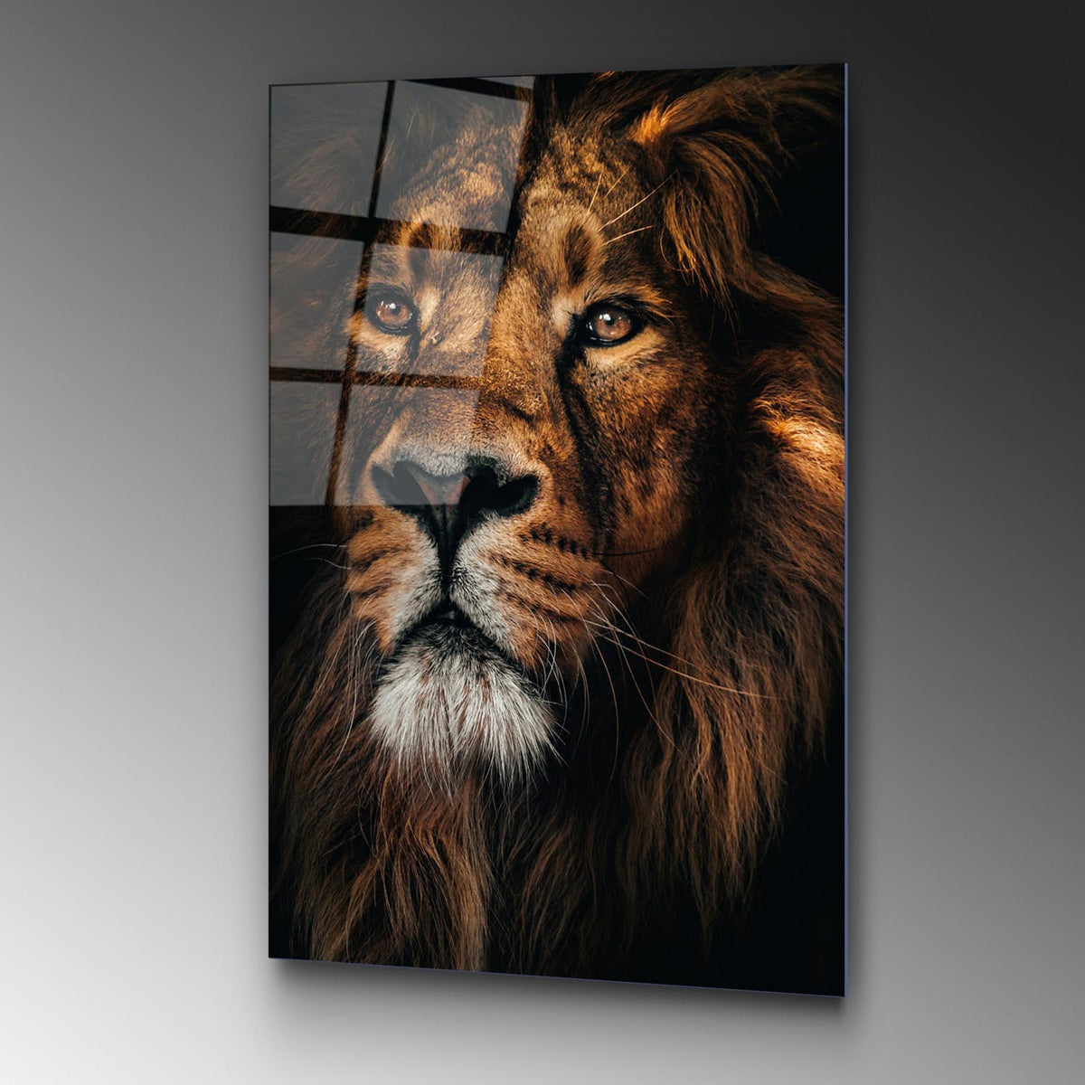 UV Bild - Mehrfarbig in Mehrfarbig präsentiert im Onlineshop von KAQTU Design AG. Bild ist von Wallity