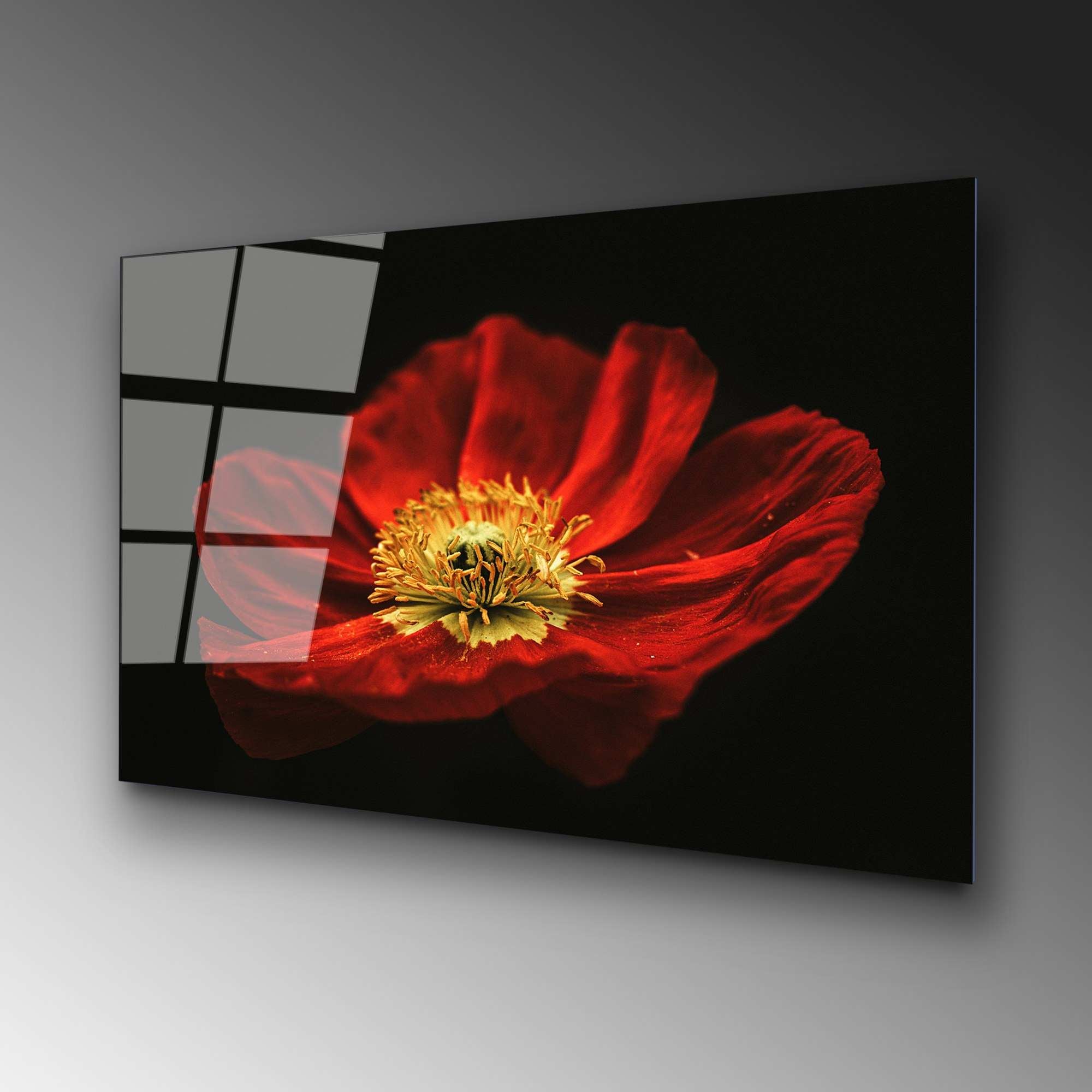 UV-204 70 x 100 in Mehrfarbig präsentiert im Onlineshop von KAQTU Design AG. Bild ist von Wallity