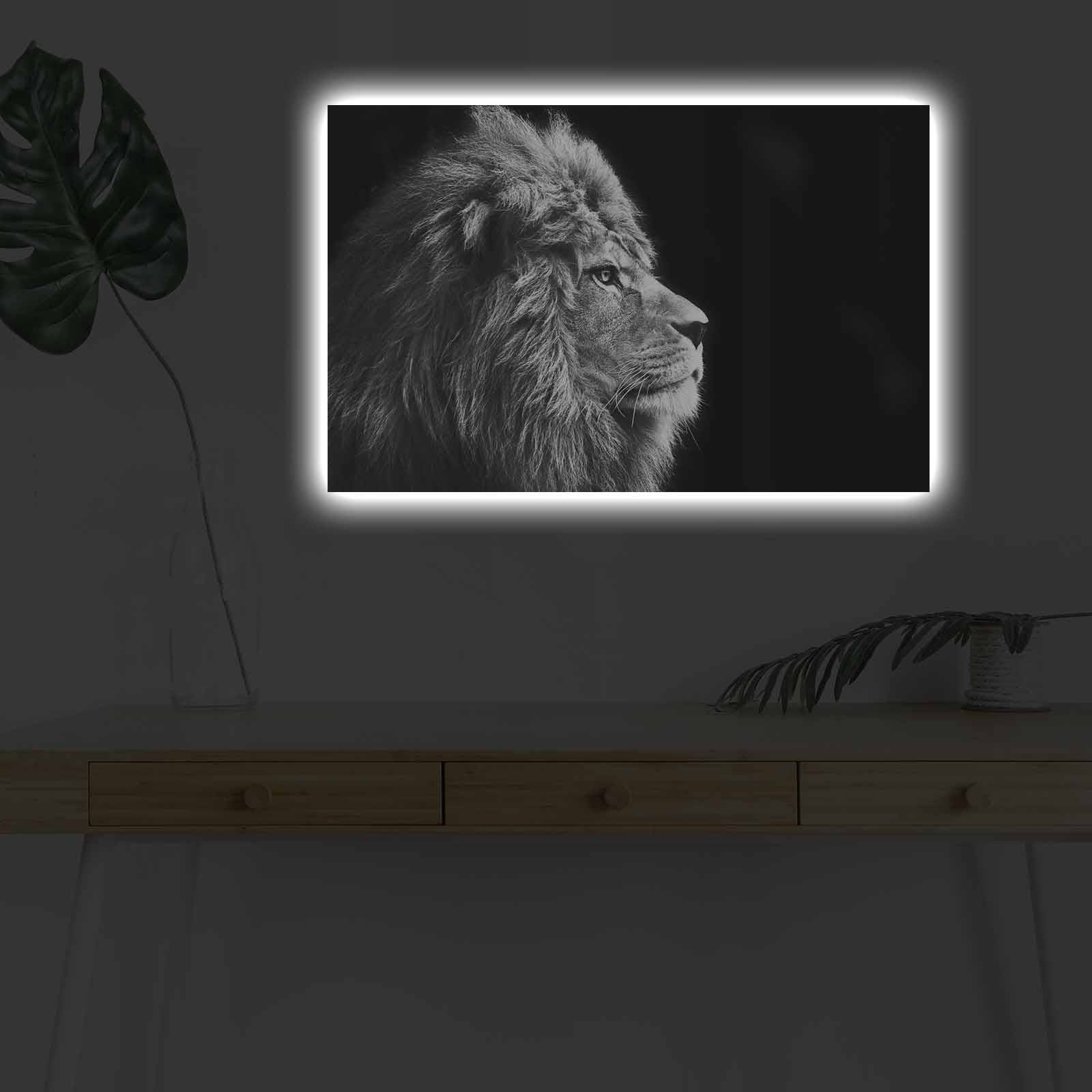 4570DHDACT-058 in Mehrfarbig präsentiert im Onlineshop von KAQTU Design AG. Bild ist von Wallity