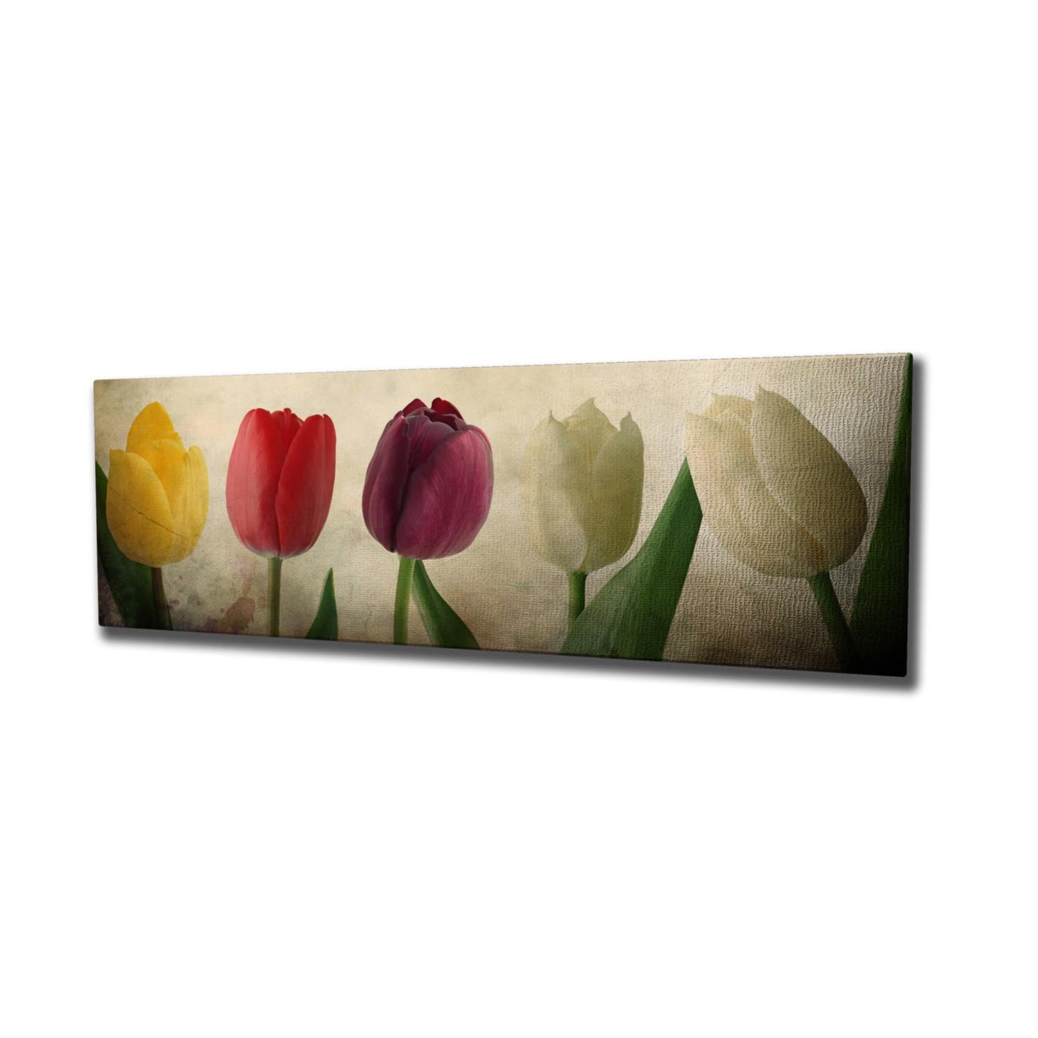 PC147 in Mehrfarbig präsentiert im Onlineshop von KAQTU Design AG. Bild ist von Wallity