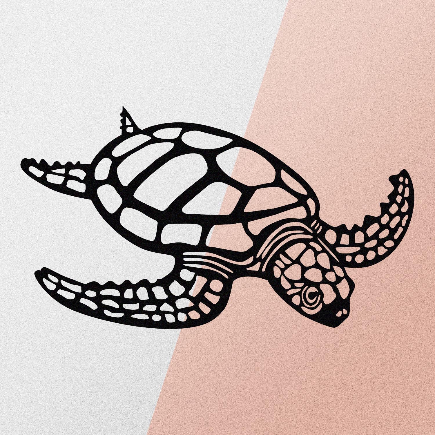 Caretta Caretta in Schwarz präsentiert im Onlineshop von KAQTU Design AG. Wanddeko ist von Wallity