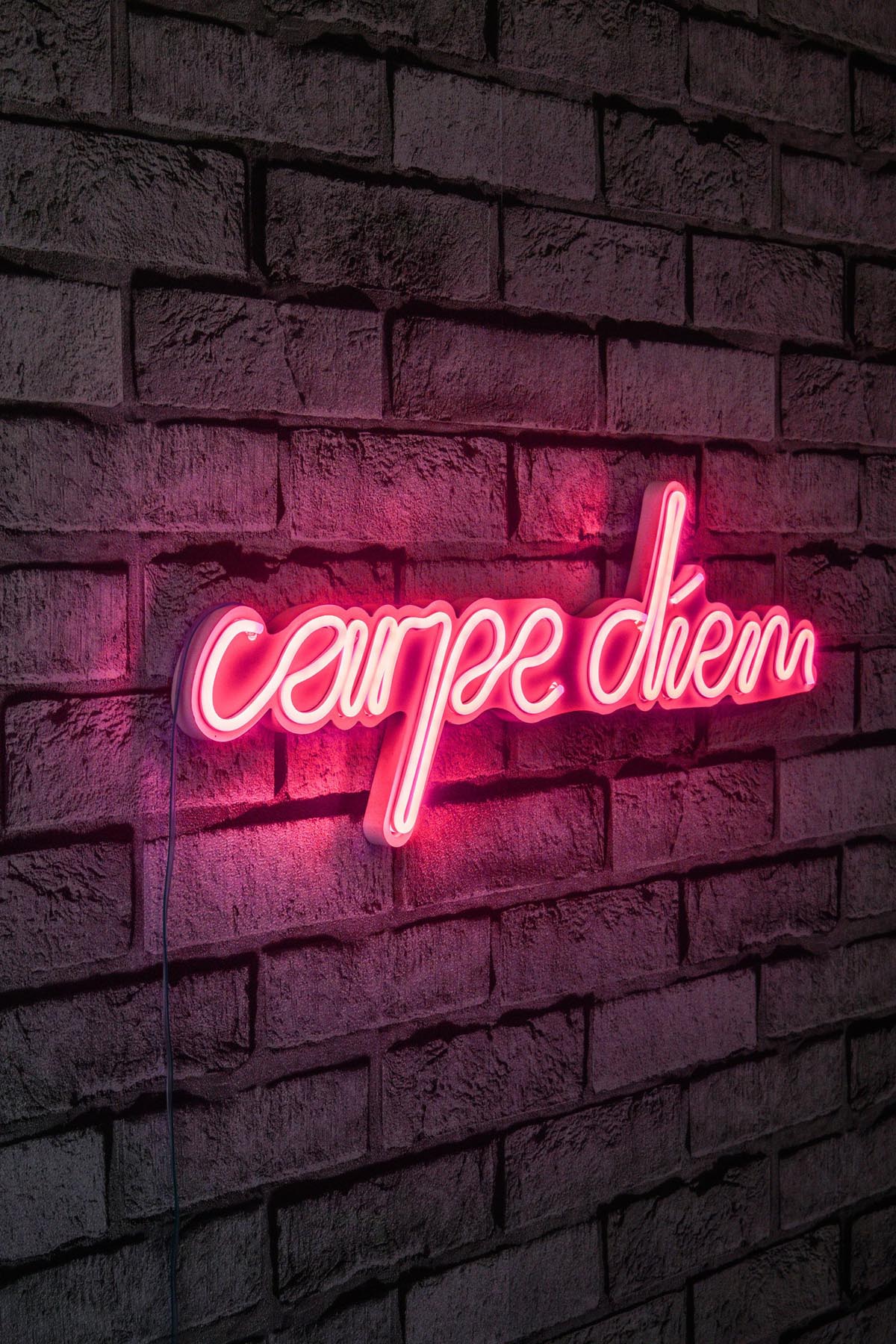 Carpe Diem - Pink in Rosa präsentiert im Onlineshop von KAQTU Design AG. Wandleuchte ist von Wallity
