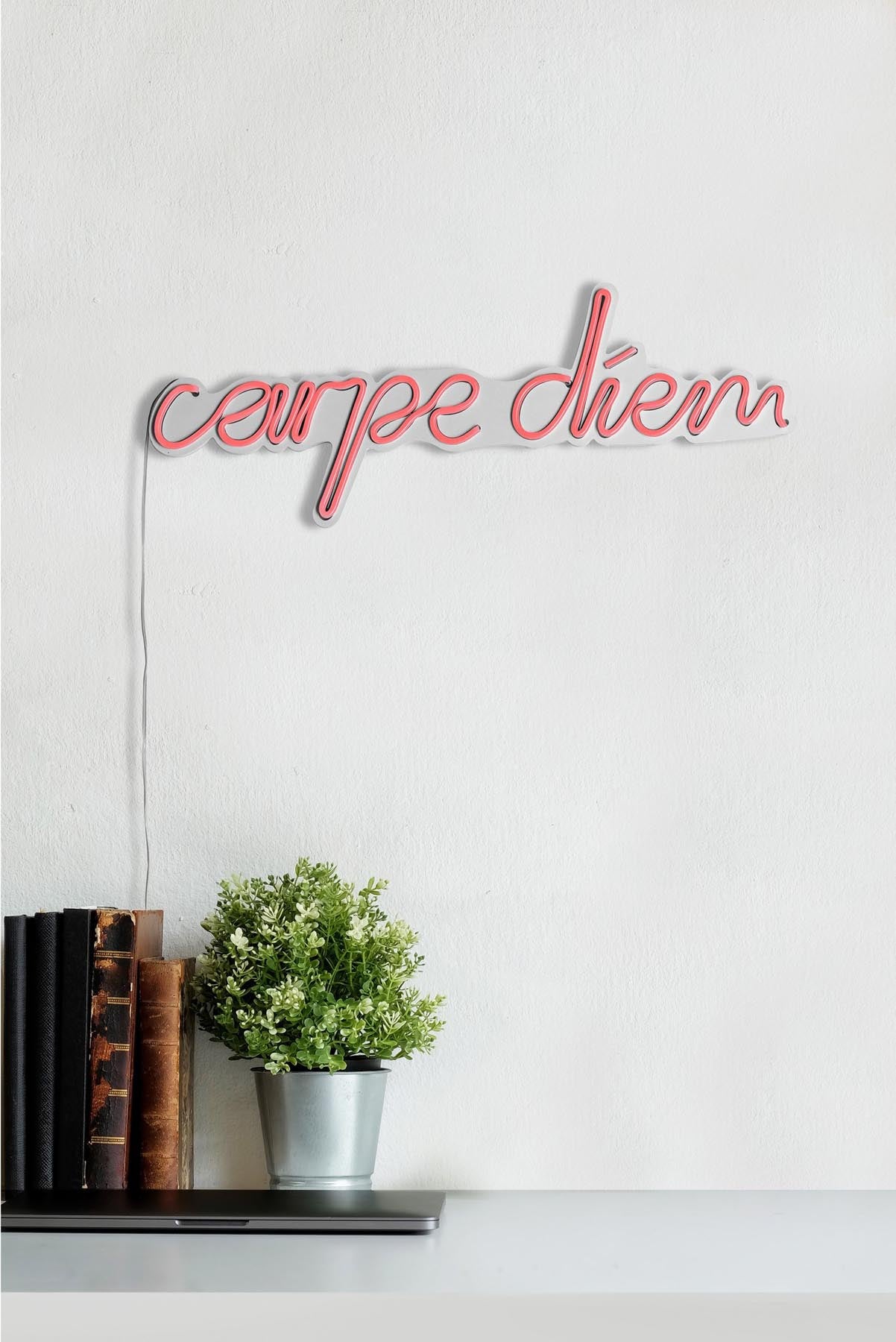 Carpe Diem - Pink in Rosa präsentiert im Onlineshop von KAQTU Design AG. Wandleuchte ist von Wallity